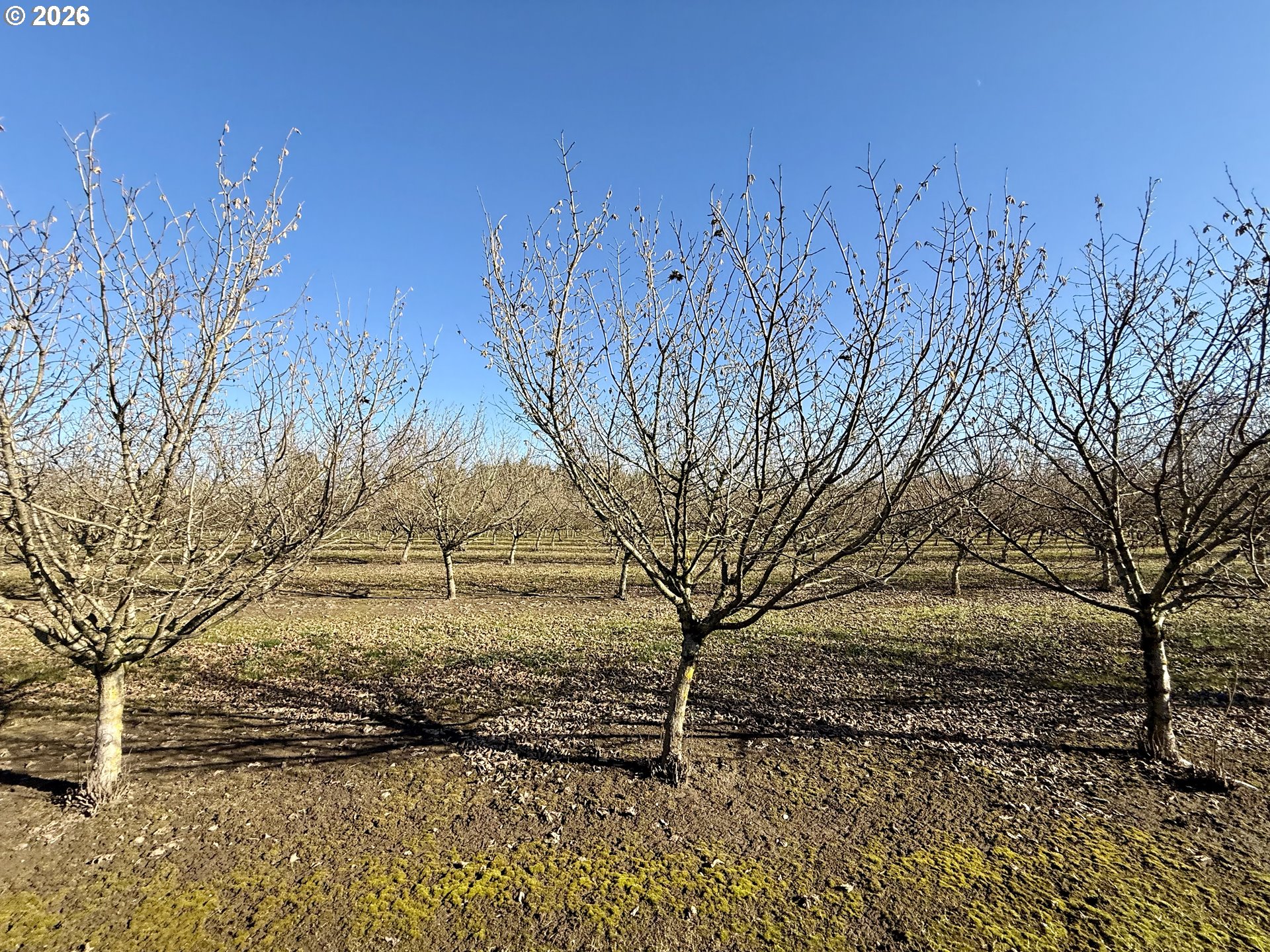 41792 SE KINGSTON JORDAN RD, Stayton, OR, 97383