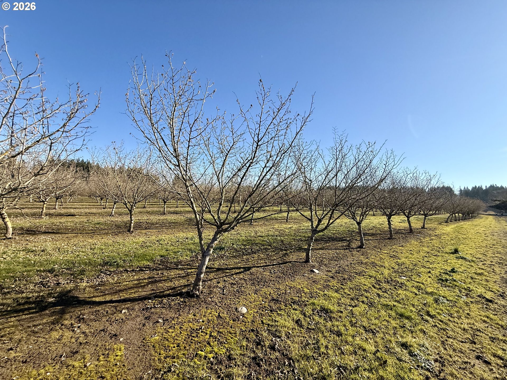 41792 SE KINGSTON JORDAN RD, Stayton, OR, 97383