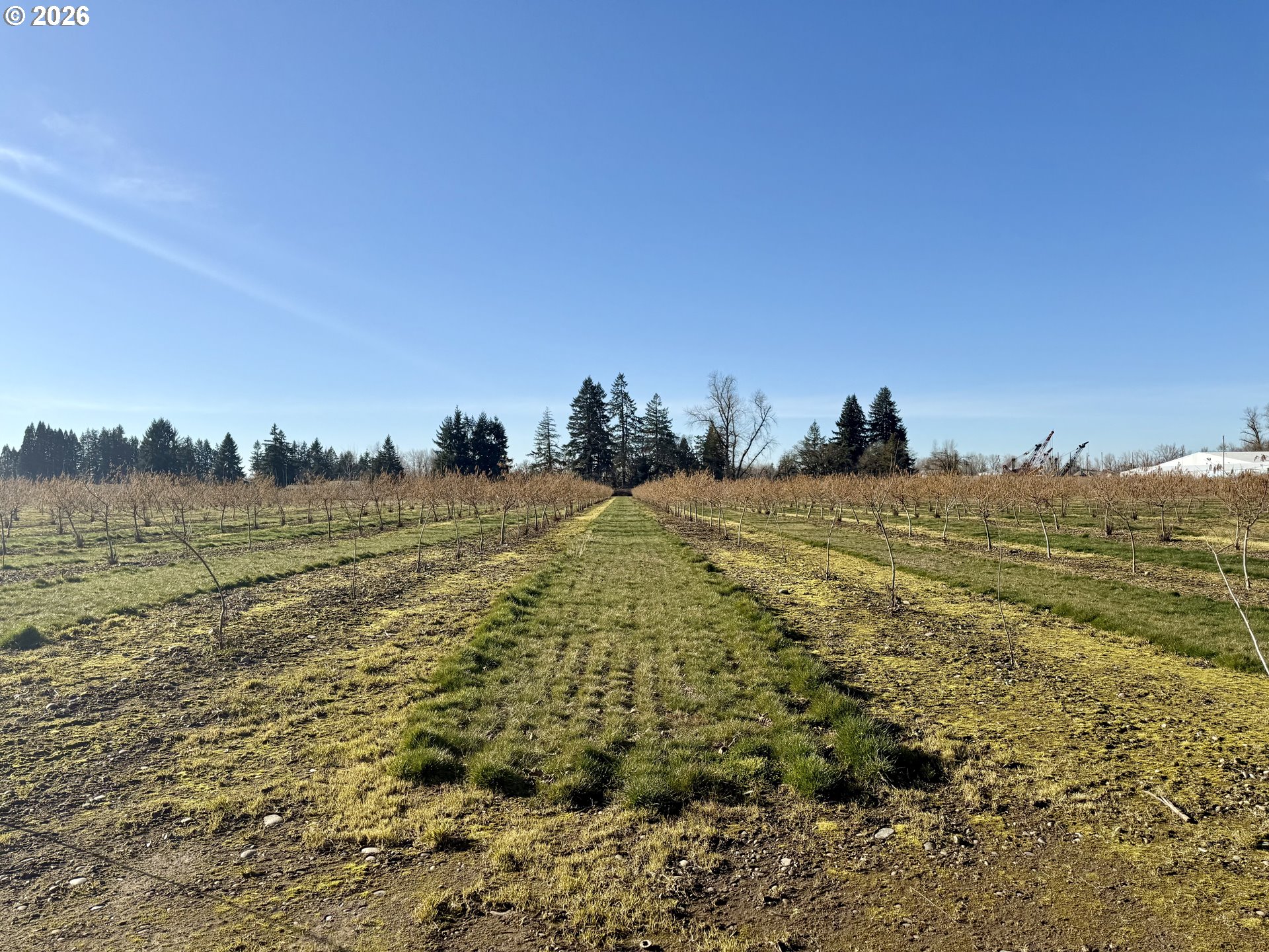 41792 SE KINGSTON JORDAN RD, Stayton, OR, 97383