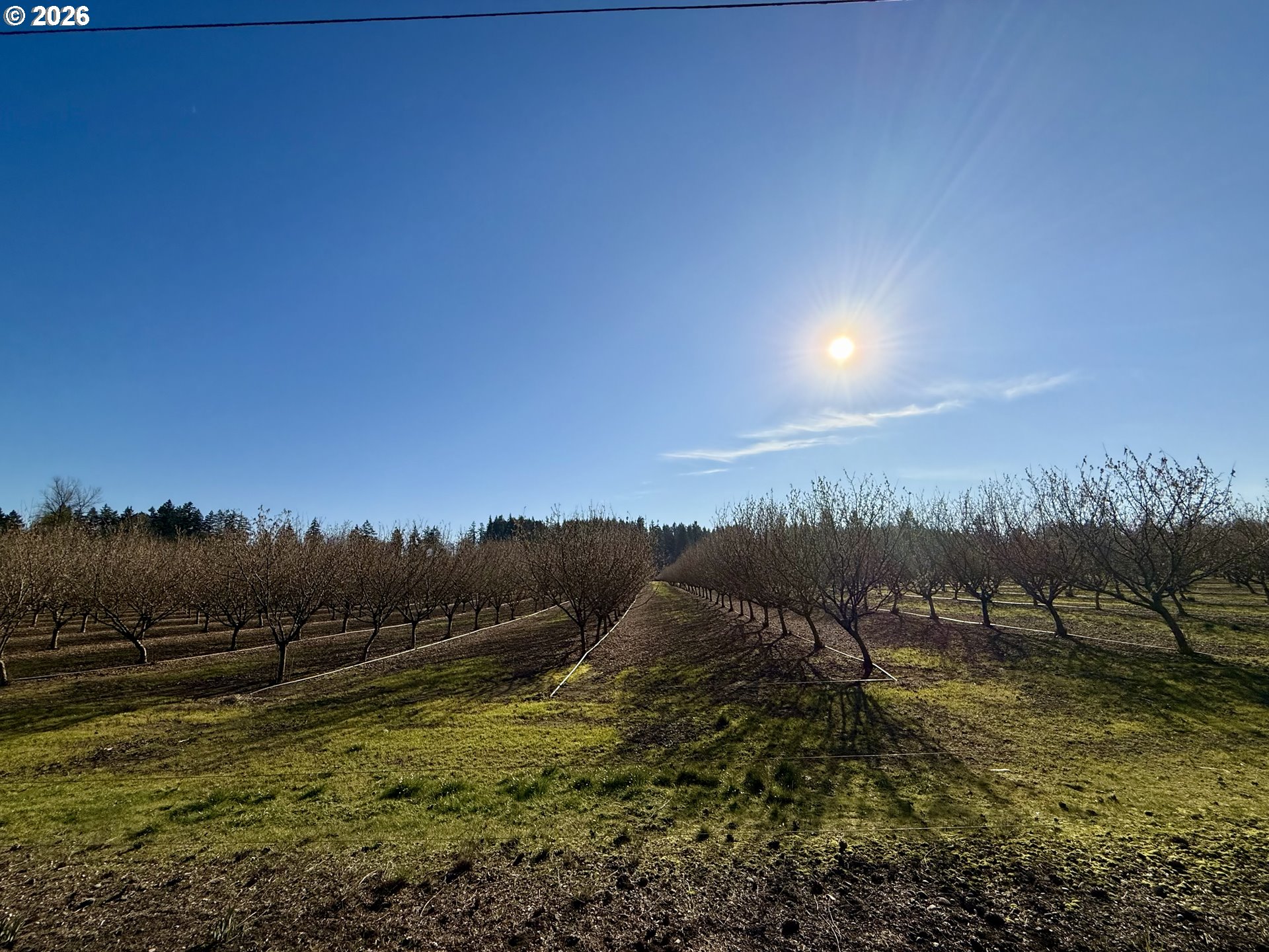 41792 SE KINGSTON JORDAN RD, Stayton, OR, 97383