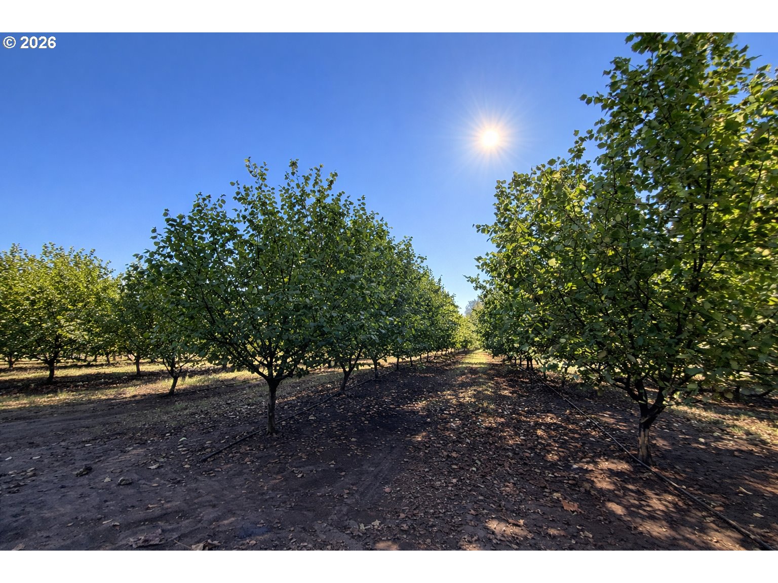 41792 SE KINGSTON JORDAN RD, Stayton, OR, 97383