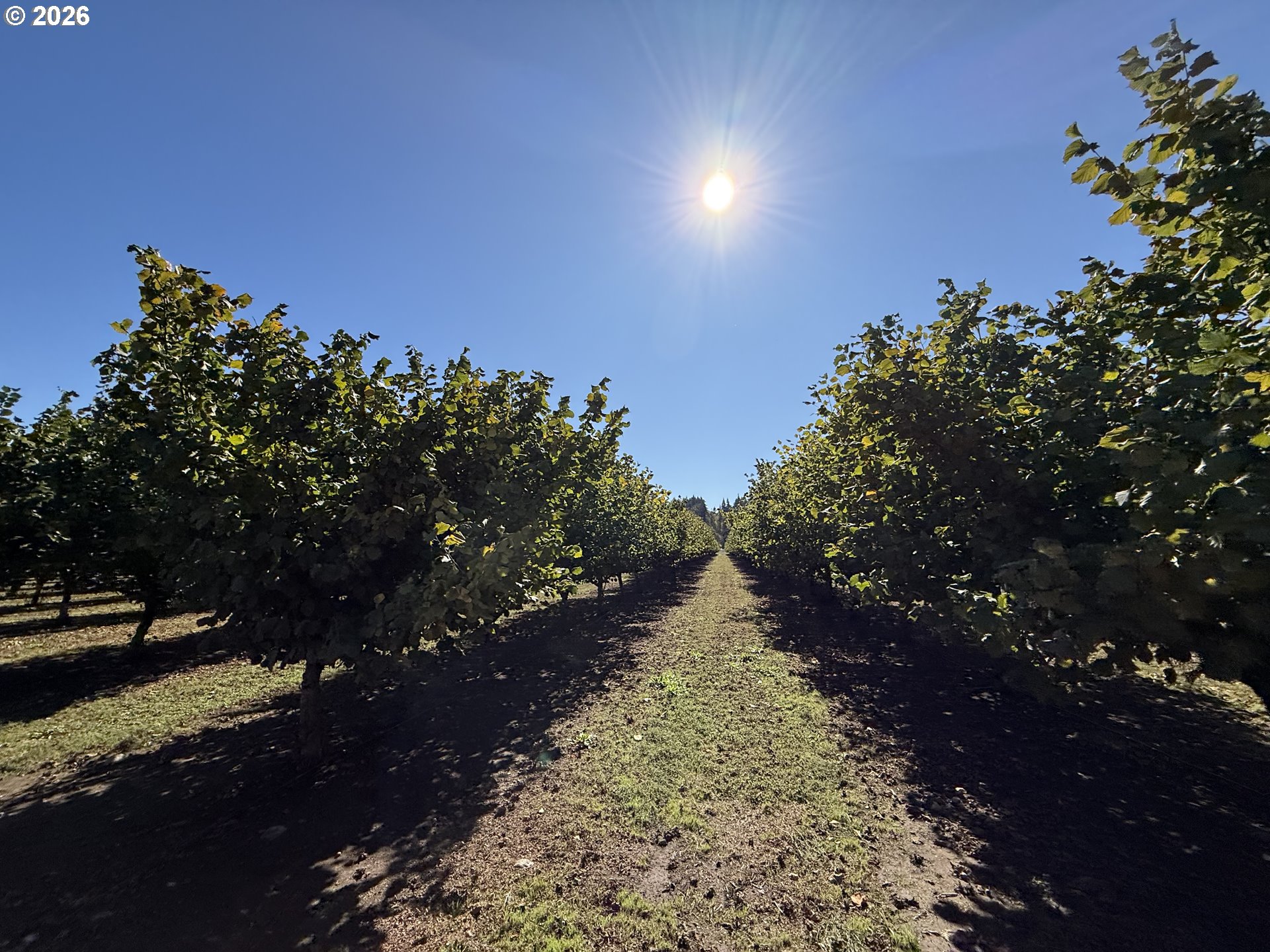 41792 SE KINGSTON JORDAN RD, Stayton, OR, 97383