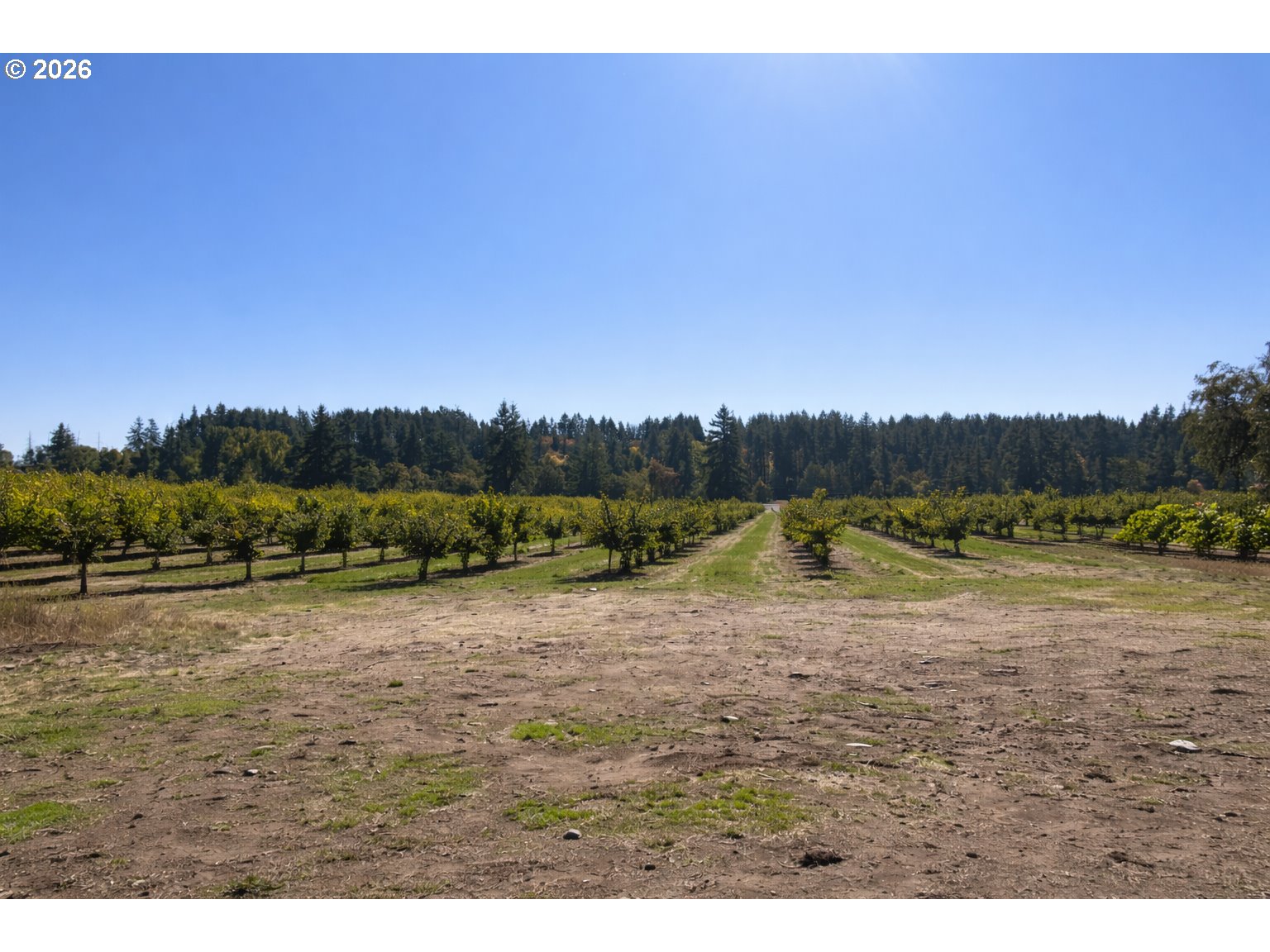 41792 SE KINGSTON JORDAN RD, Stayton, OR, 97383