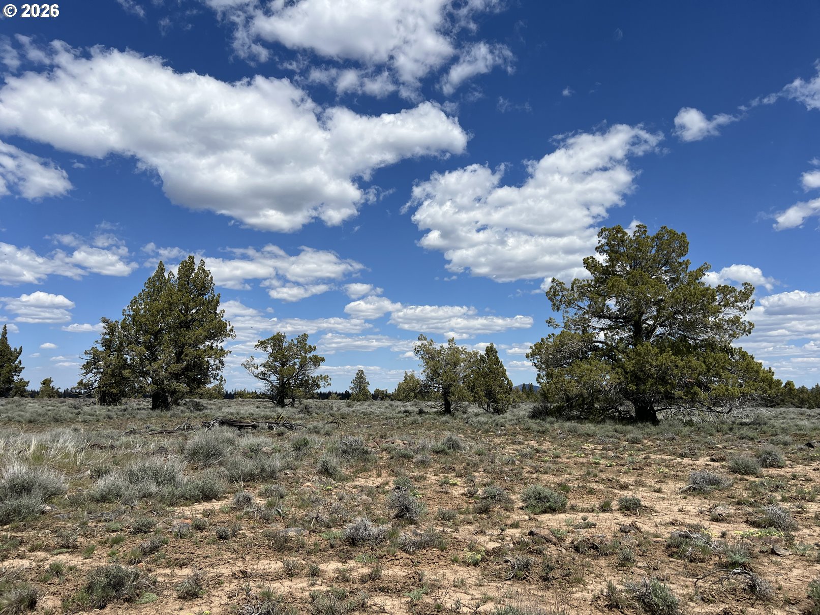 Wildpine Way UNIT 6, Beatty, OR, 97621