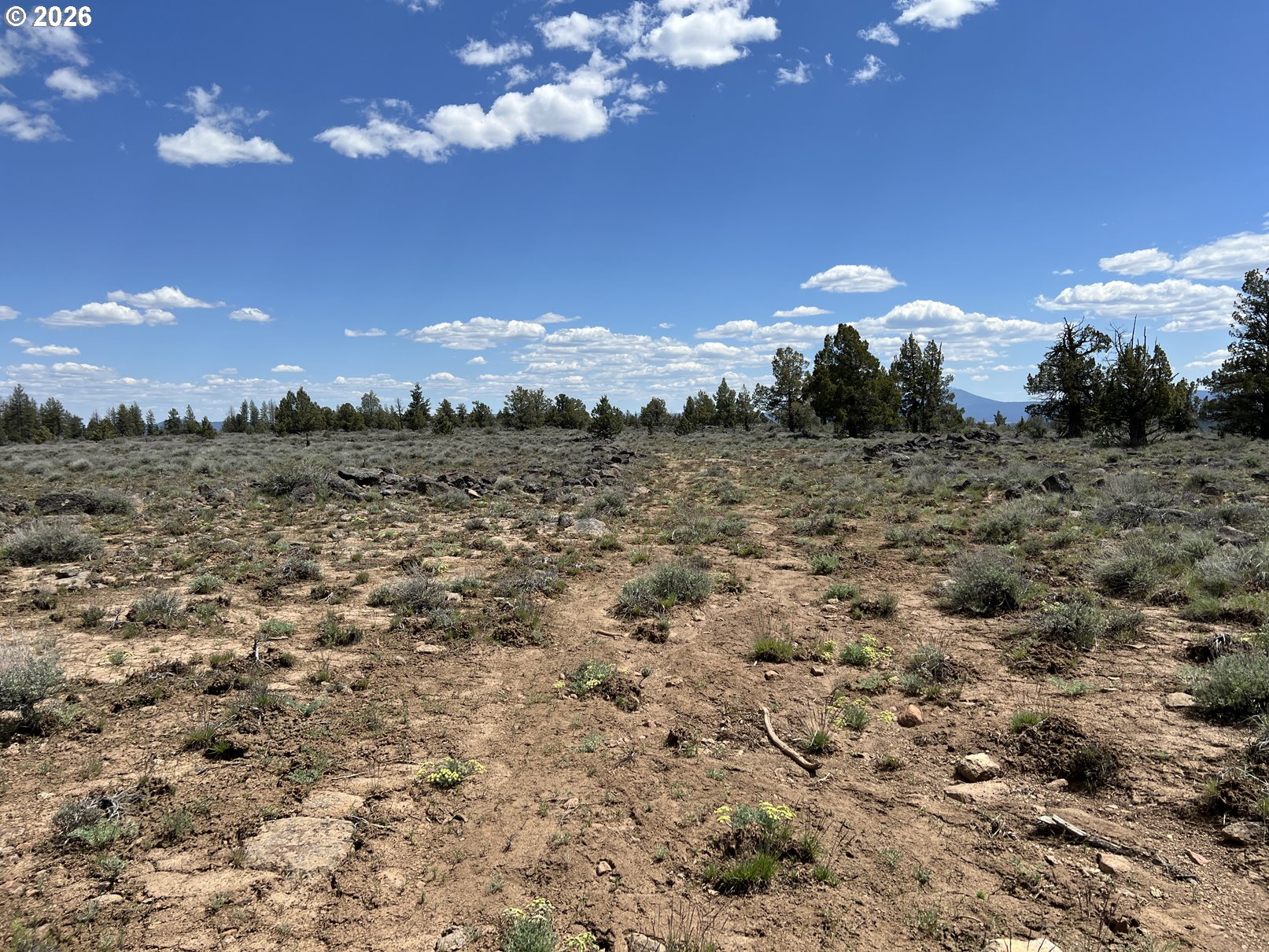 Wildpine Way UNIT 6, Beatty, OR, 97621