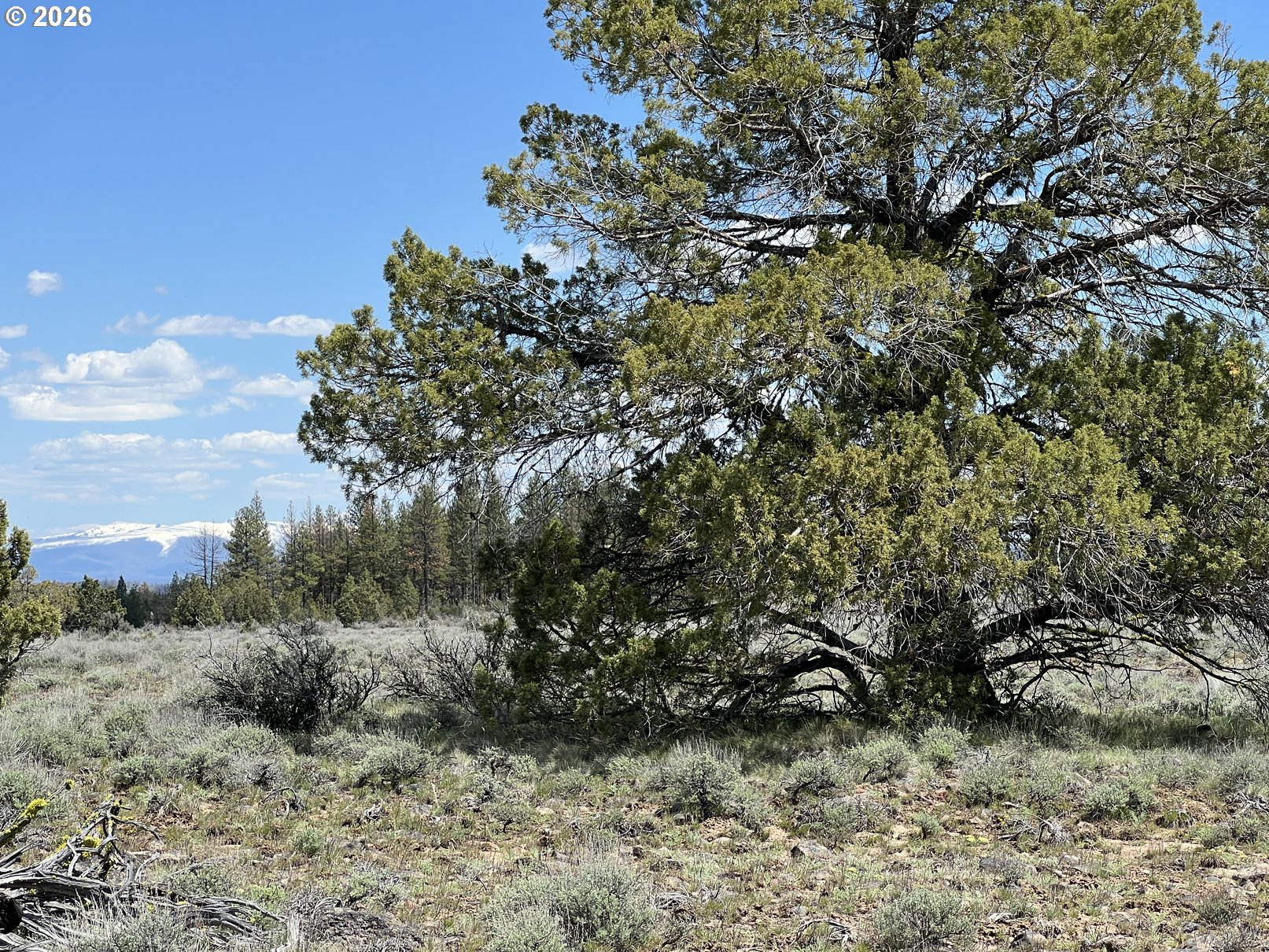 Wildpine Way UNIT 6, Beatty, OR, 97621
