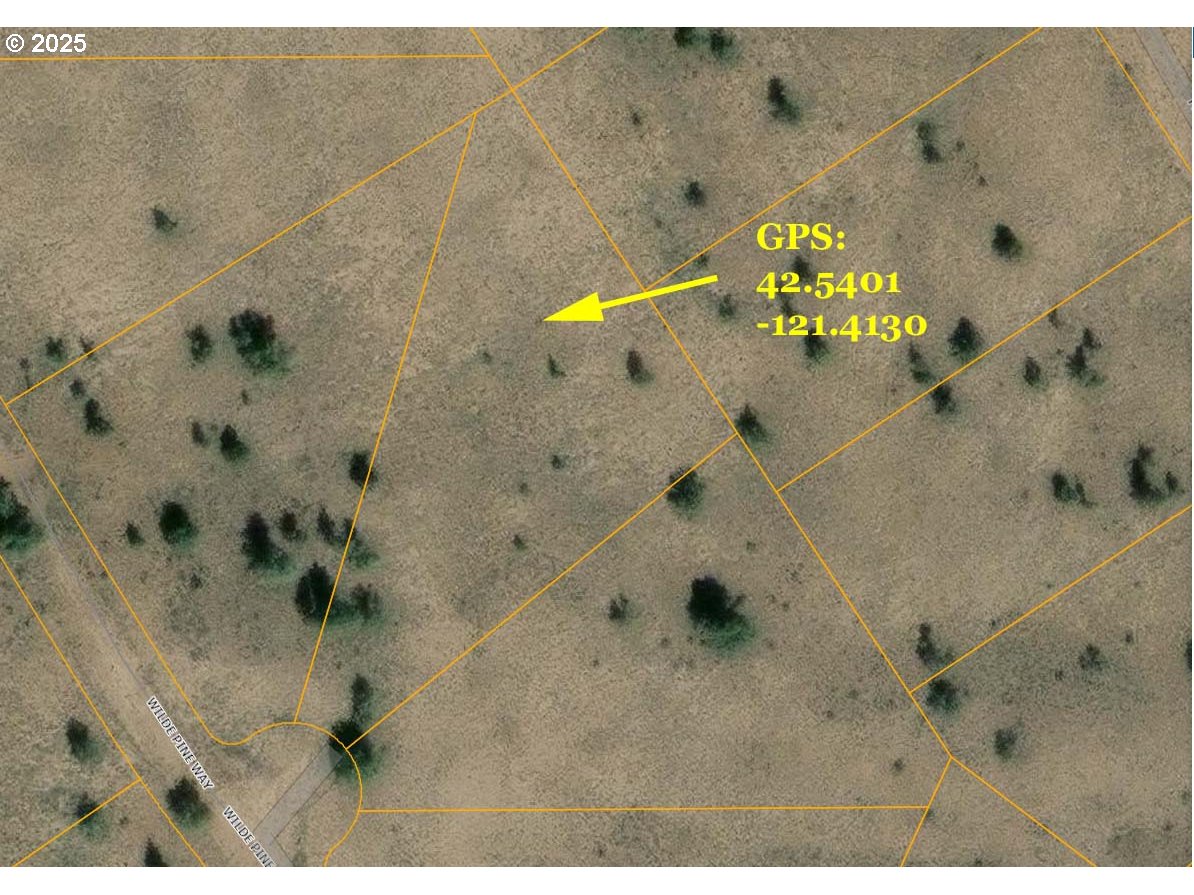 Wildpine Way UNIT 6, Beatty, OR, 97621