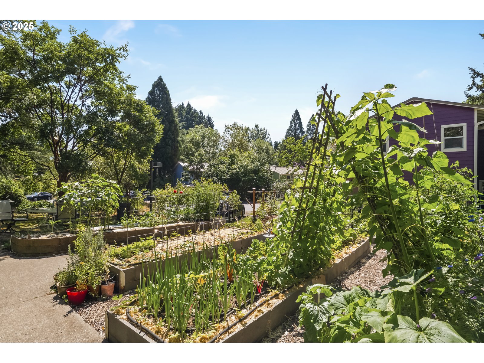 Browse active condo listings in CASCADIA COMMONS