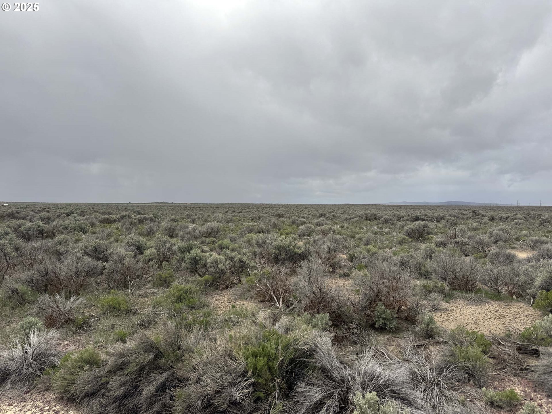 Search Homes for Sale