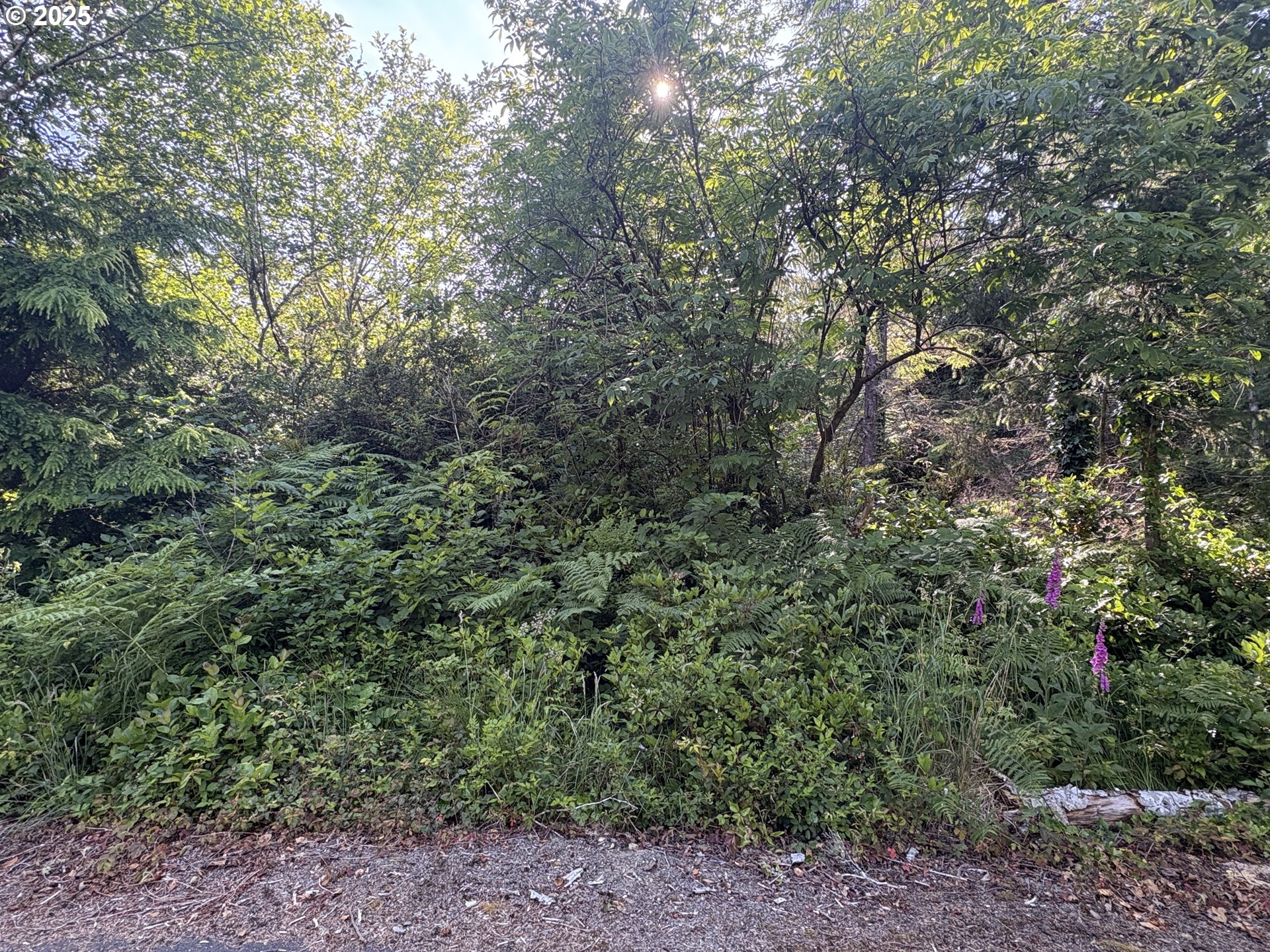 Search Homes for Sale