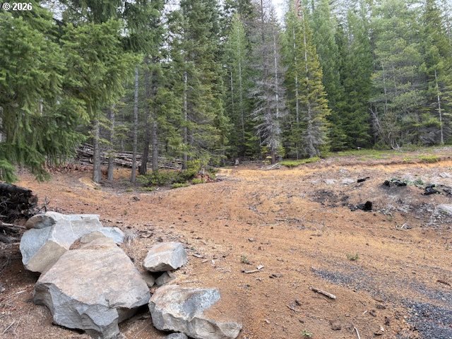 Search Homes for Sale