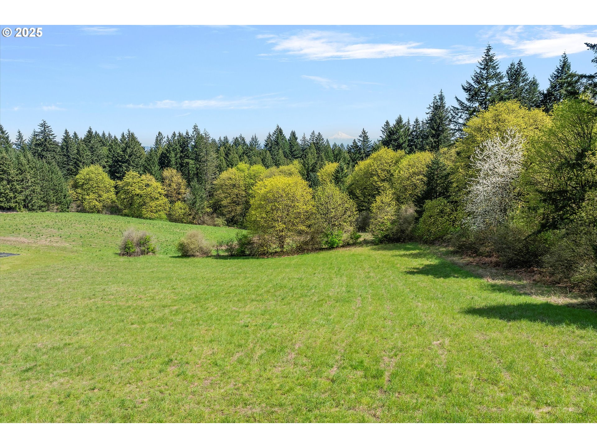 Homes on Acreage