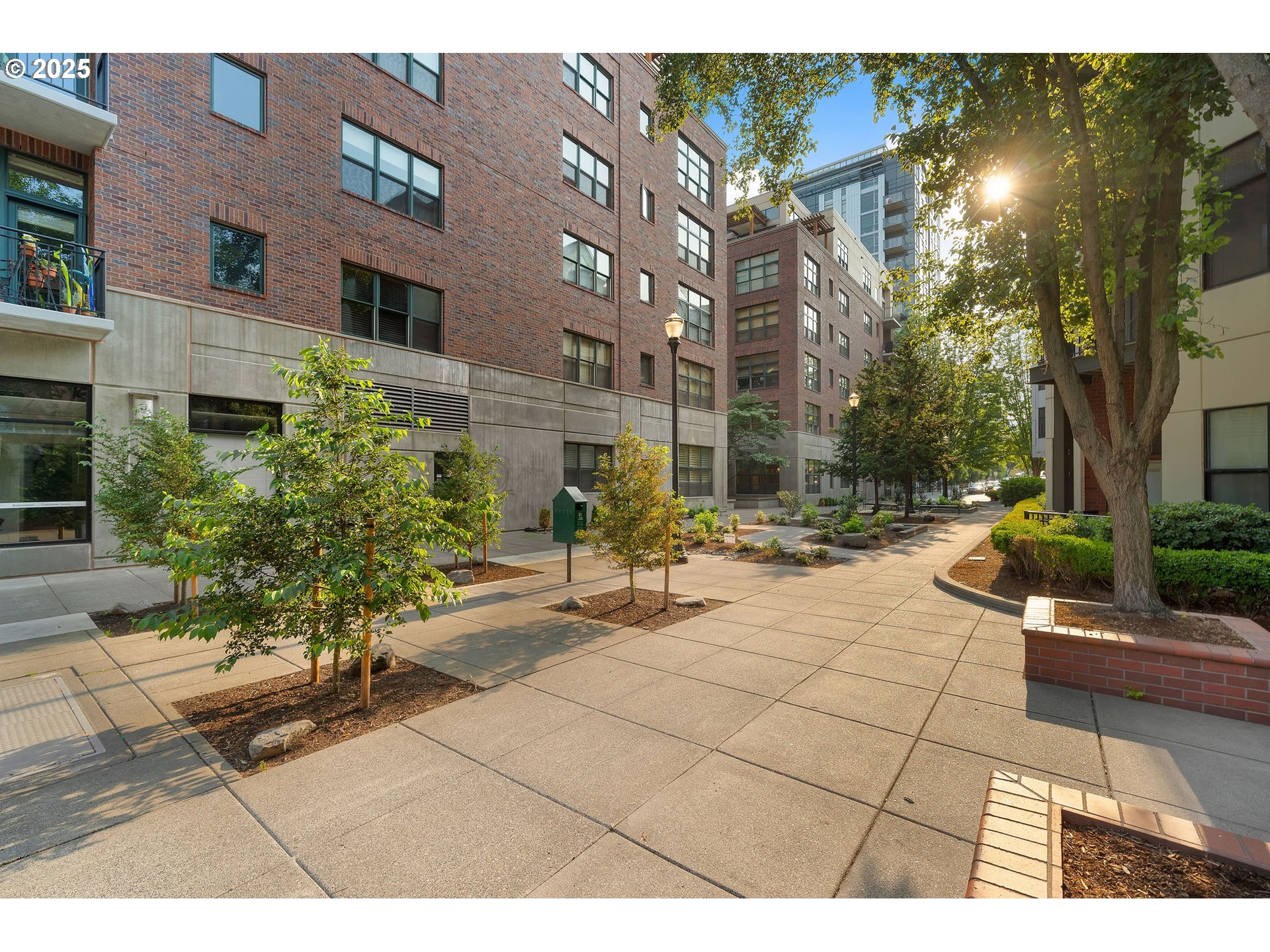 Photo #5: 704218643 Listing: Photo #5