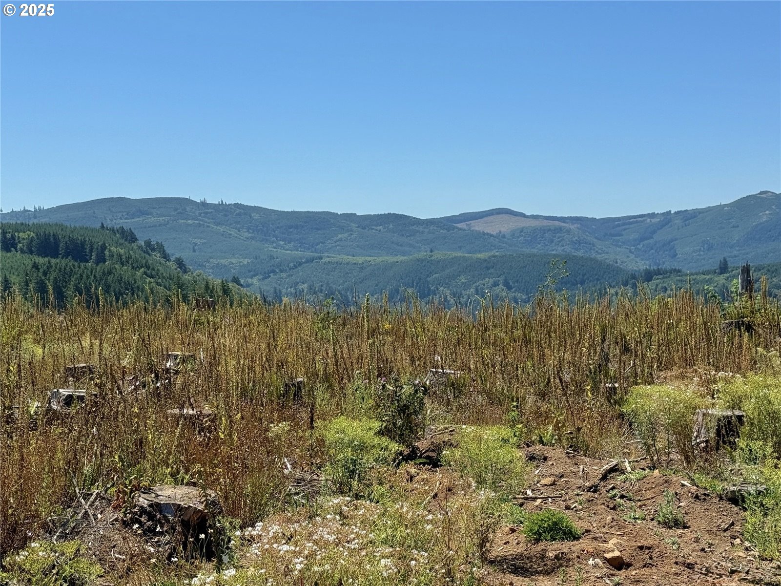 1722 NE JACKSON SCHOOL RD, Hillsboro, OR, 97124 1722 NE JACKSON SCHOOL RD, Hillsboro, OR, 97124