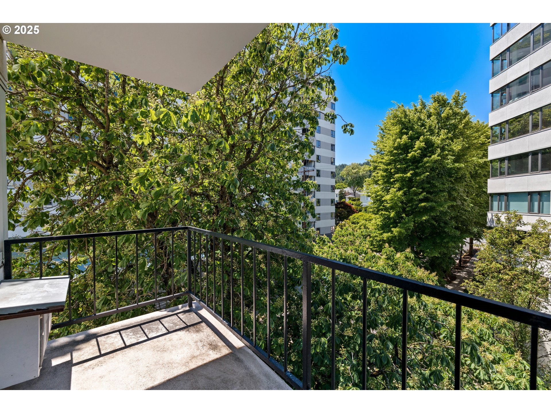 Photo #16: 709743612 Listing: Photo #16