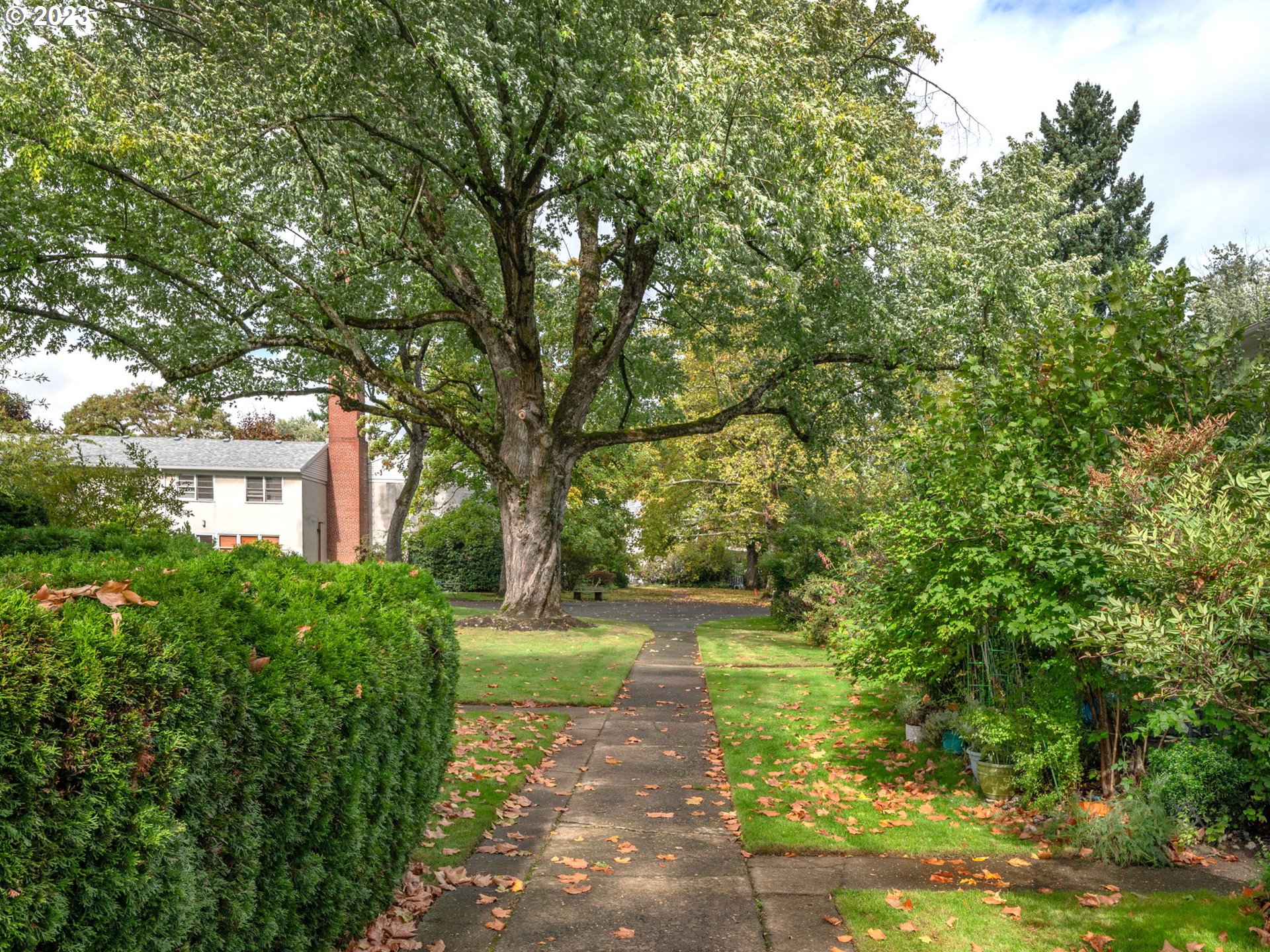 Photo #23: 710759341 Listing: Photo #23