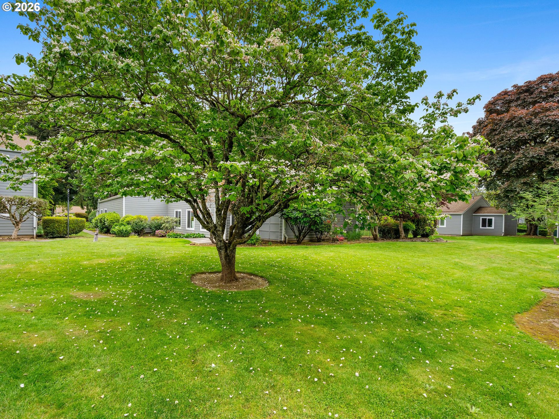 Photo #33: 714206057 Listing: Photo #33