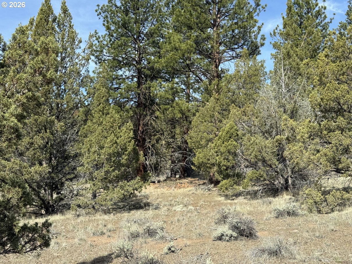 Search Homes for Sale