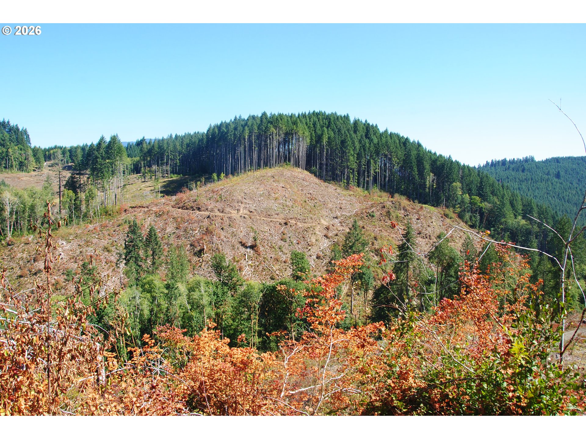 00 Van Horn (140) RD