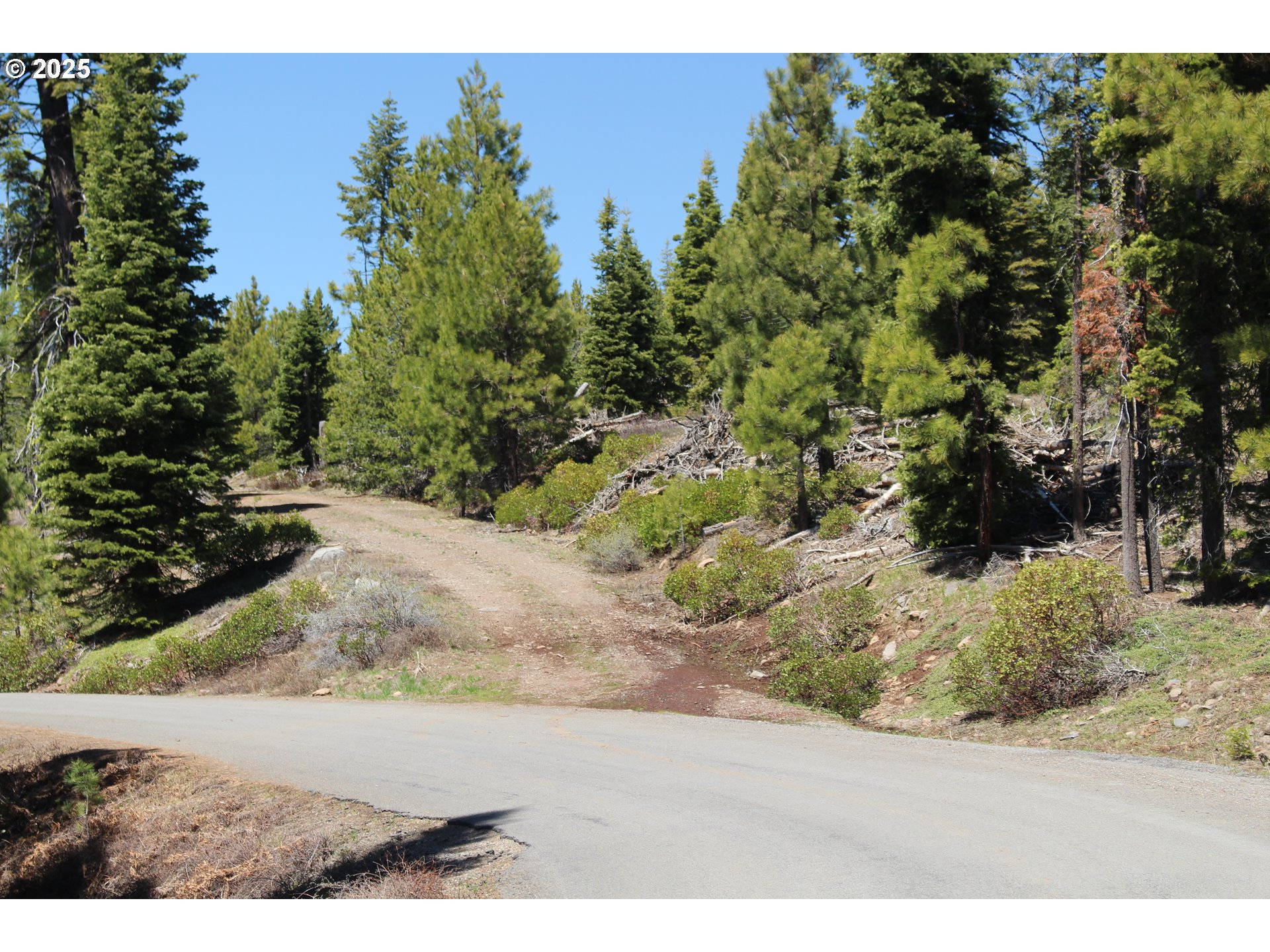 Search Homes for Sale