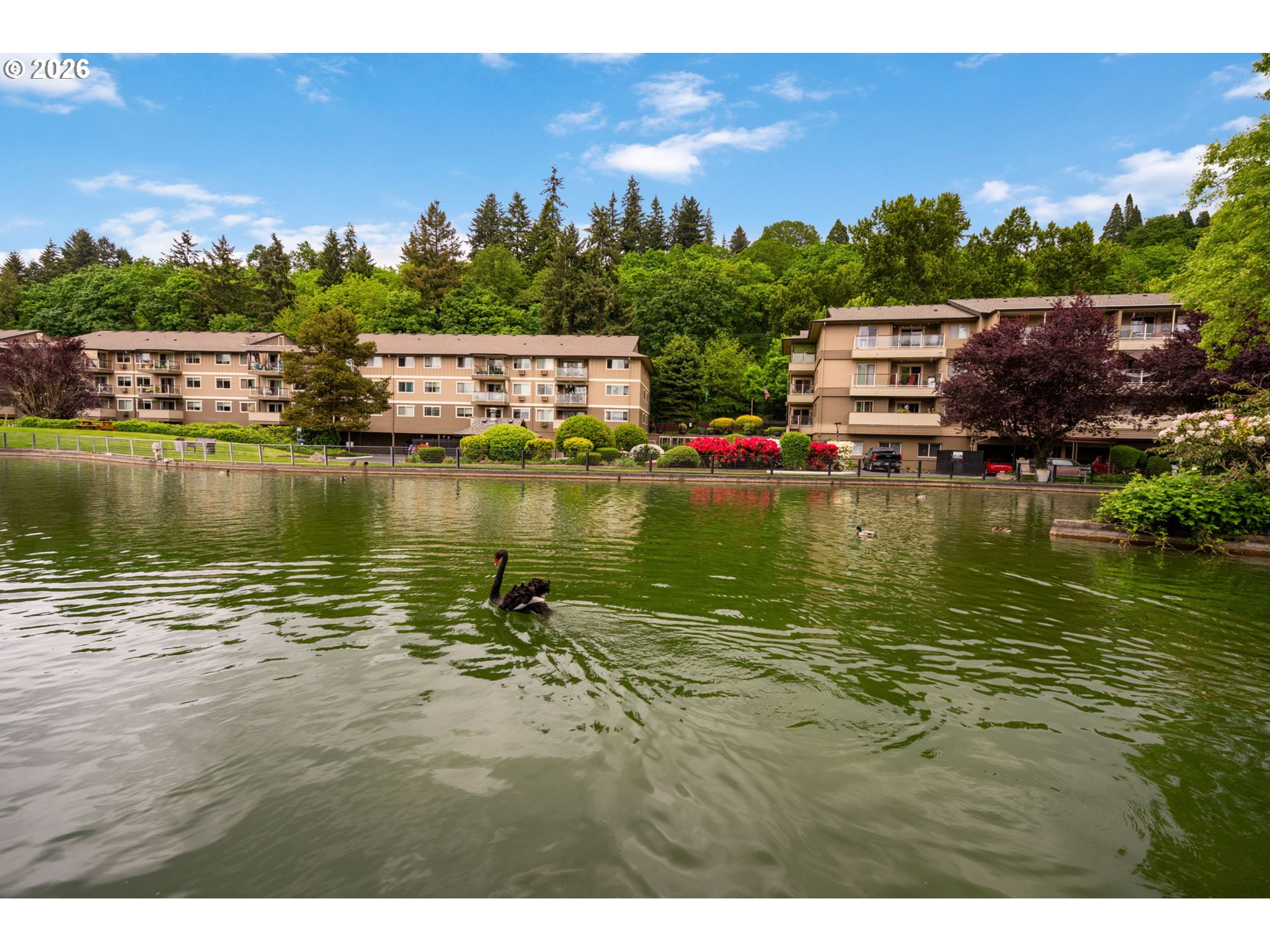 Photo #3: 716857608 Listing: Photo #3