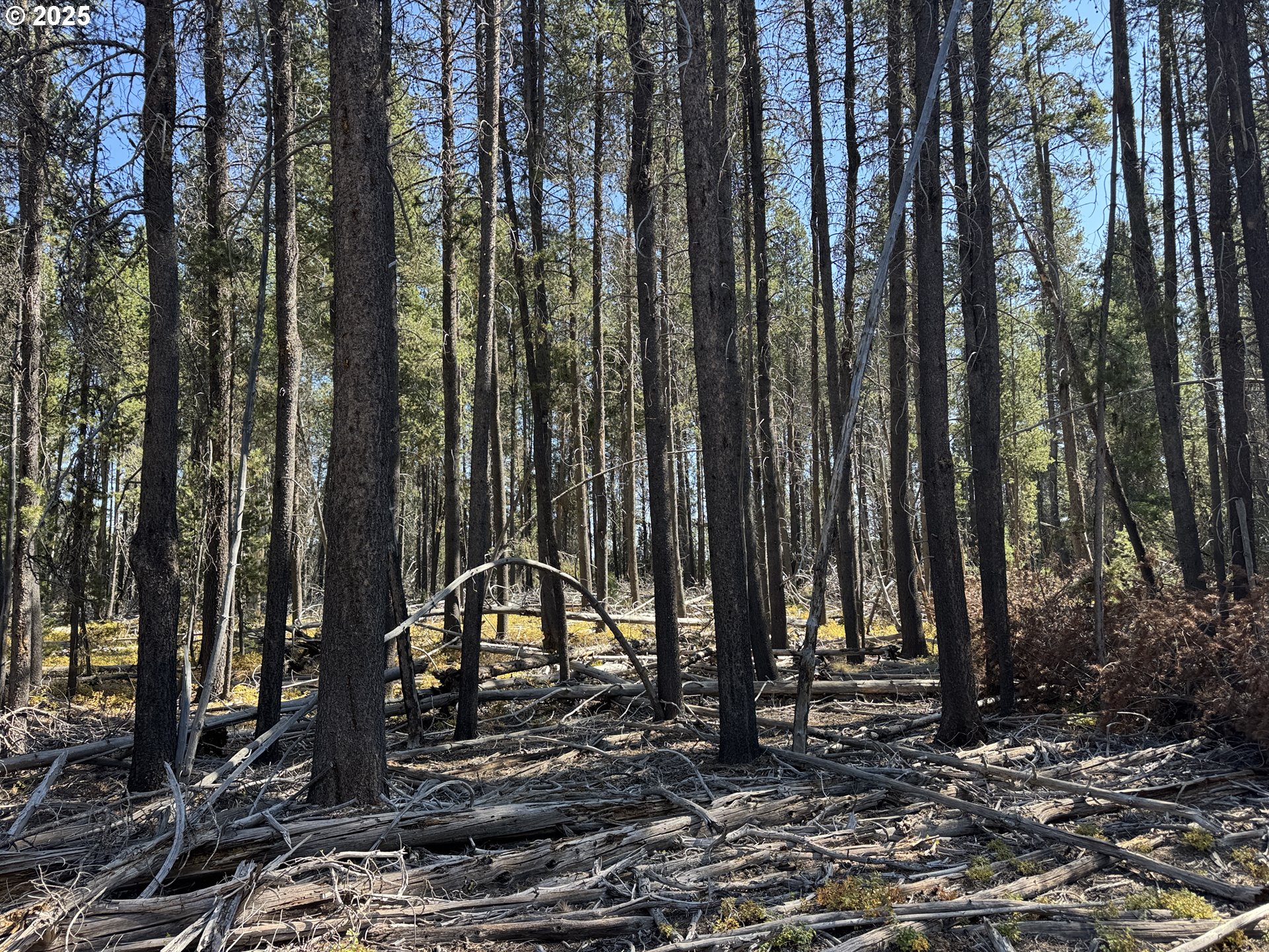 Search Homes for Sale