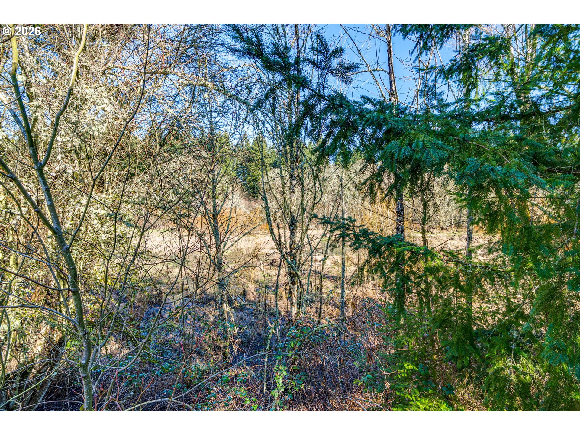 Photo #30: 717675962 Listing: Photo #30