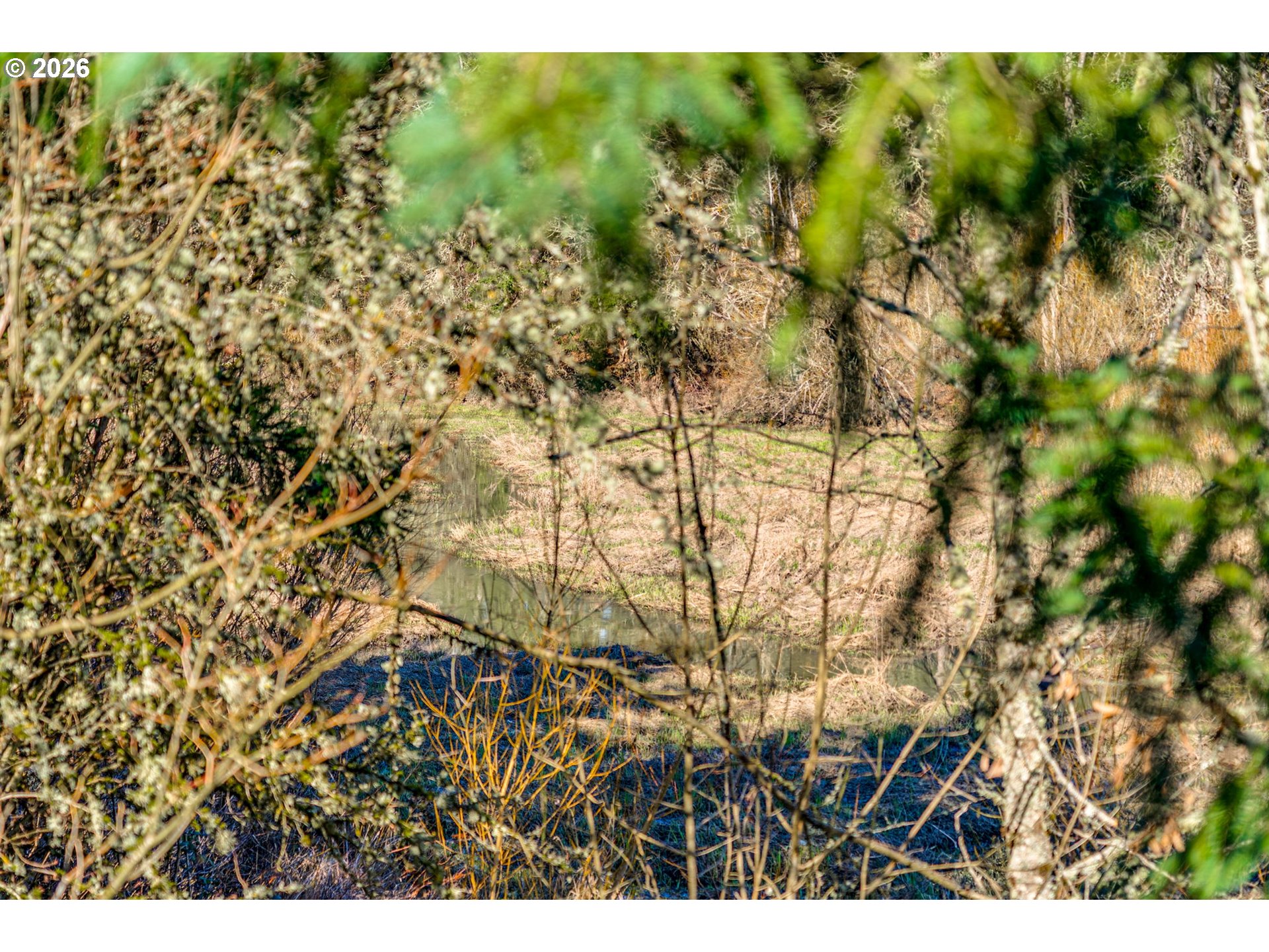 Photo #39: 717675962 Listing: Photo #39