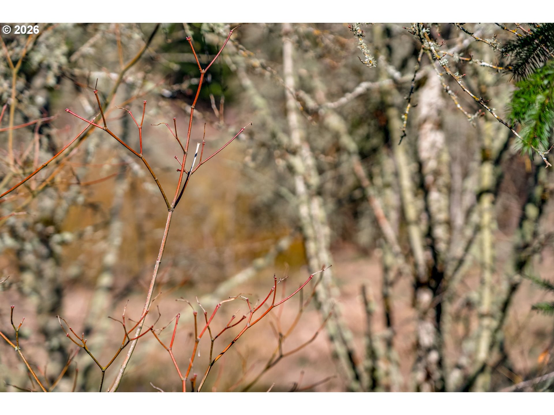 Photo #37: 717675962 Listing: Photo #37