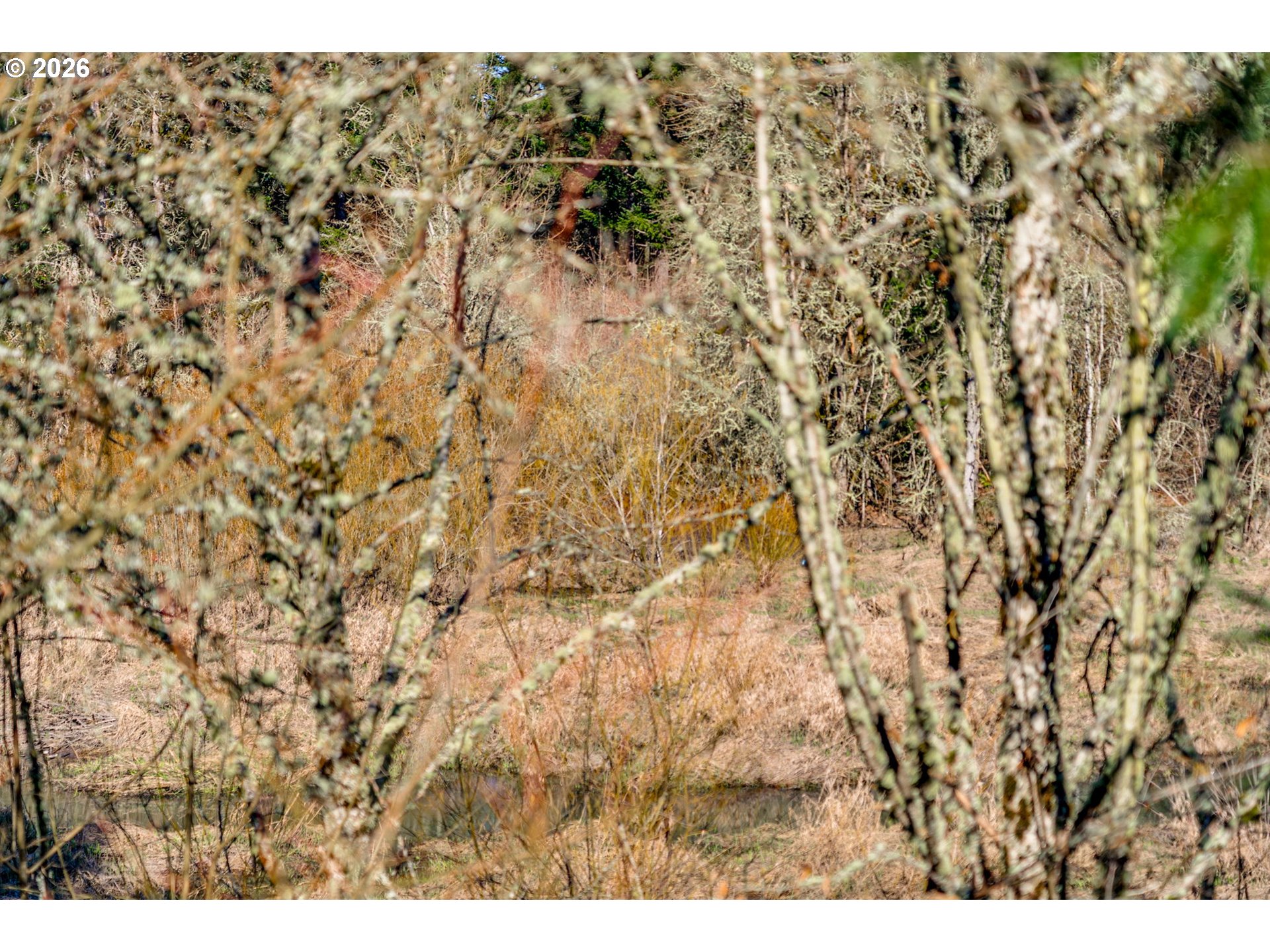 Photo #38: 717675962 Listing: Photo #38