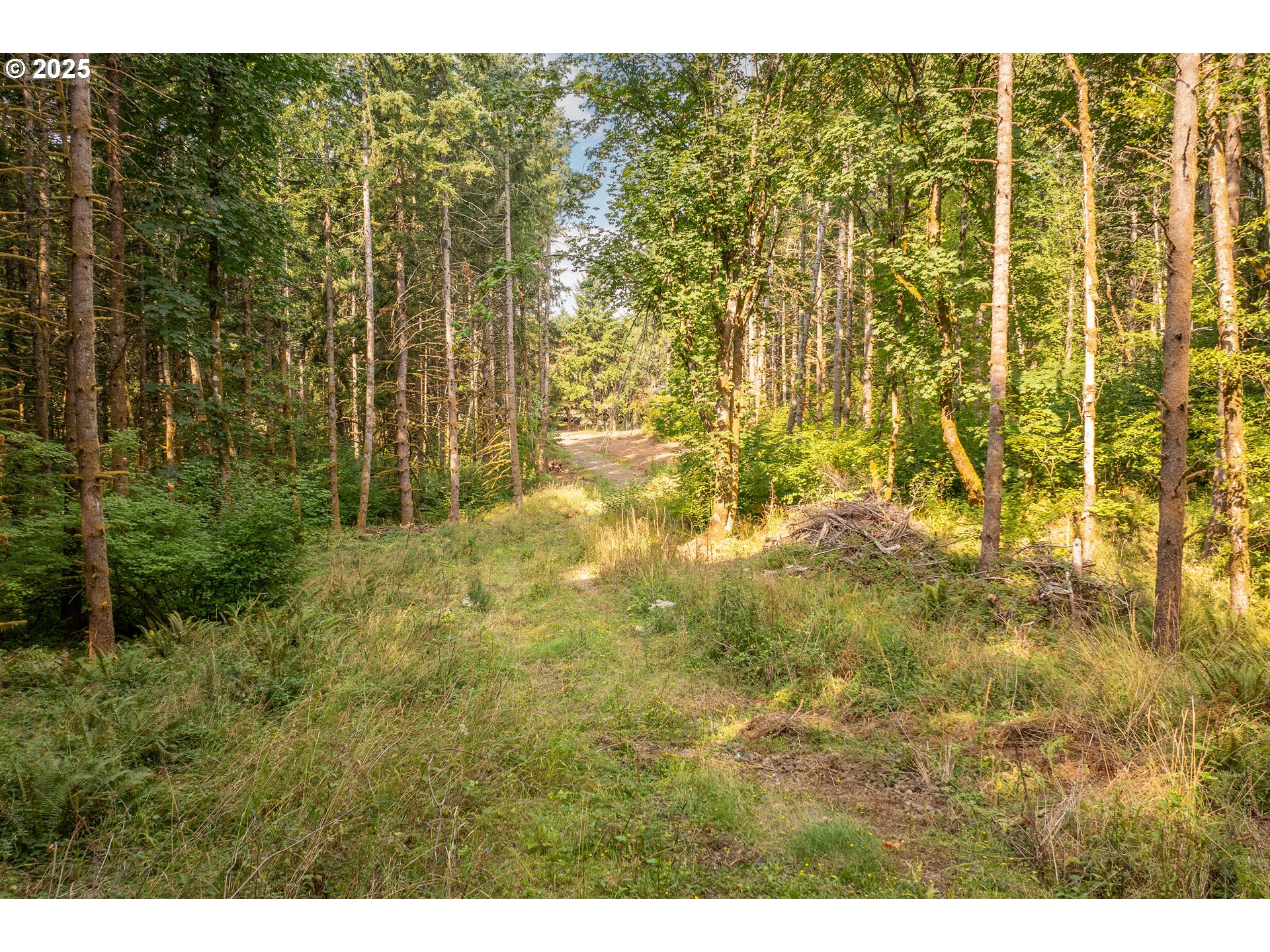 Homes on Acreage