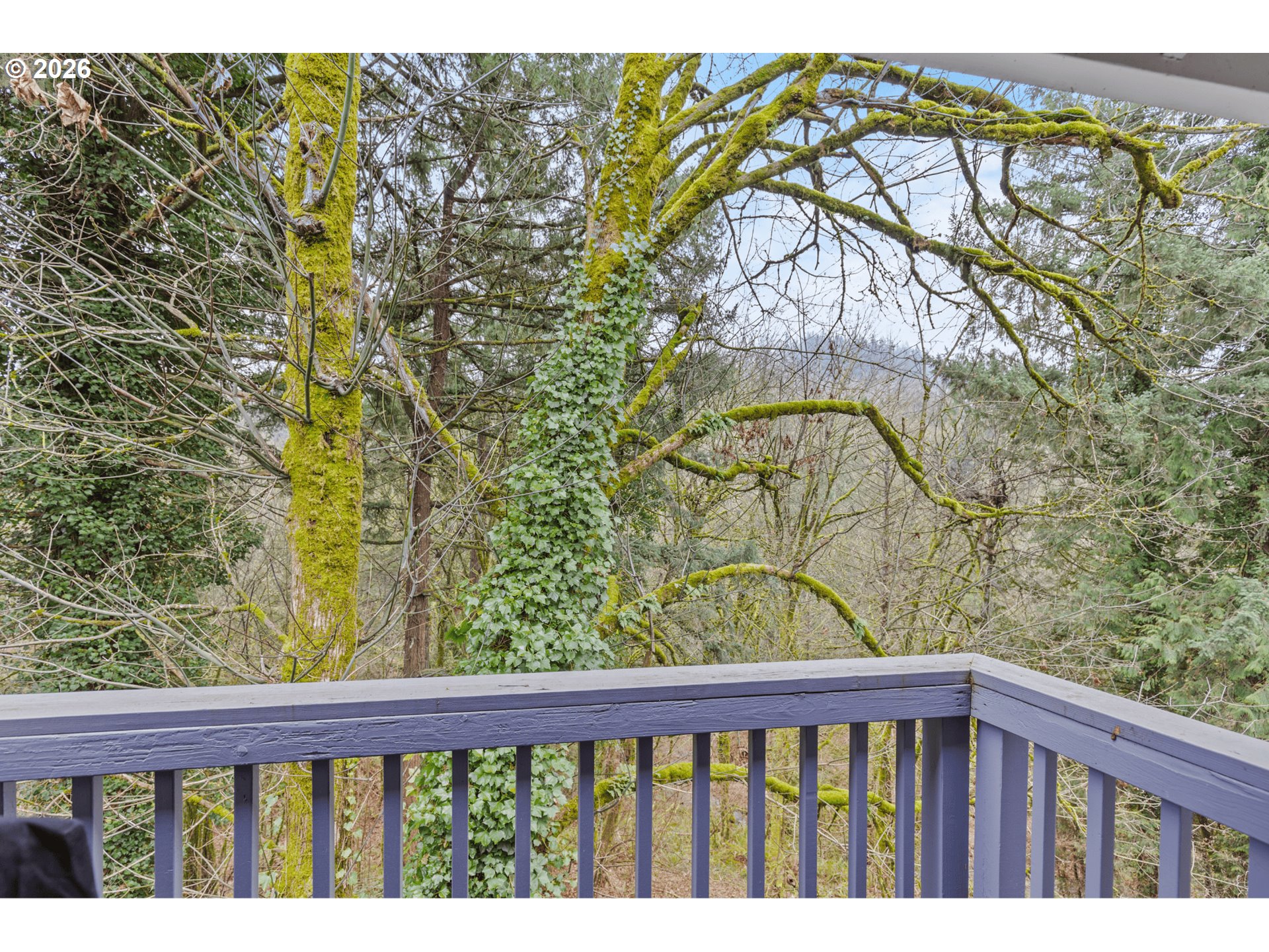 Photo #5: 721846170 Listing: Photo #5