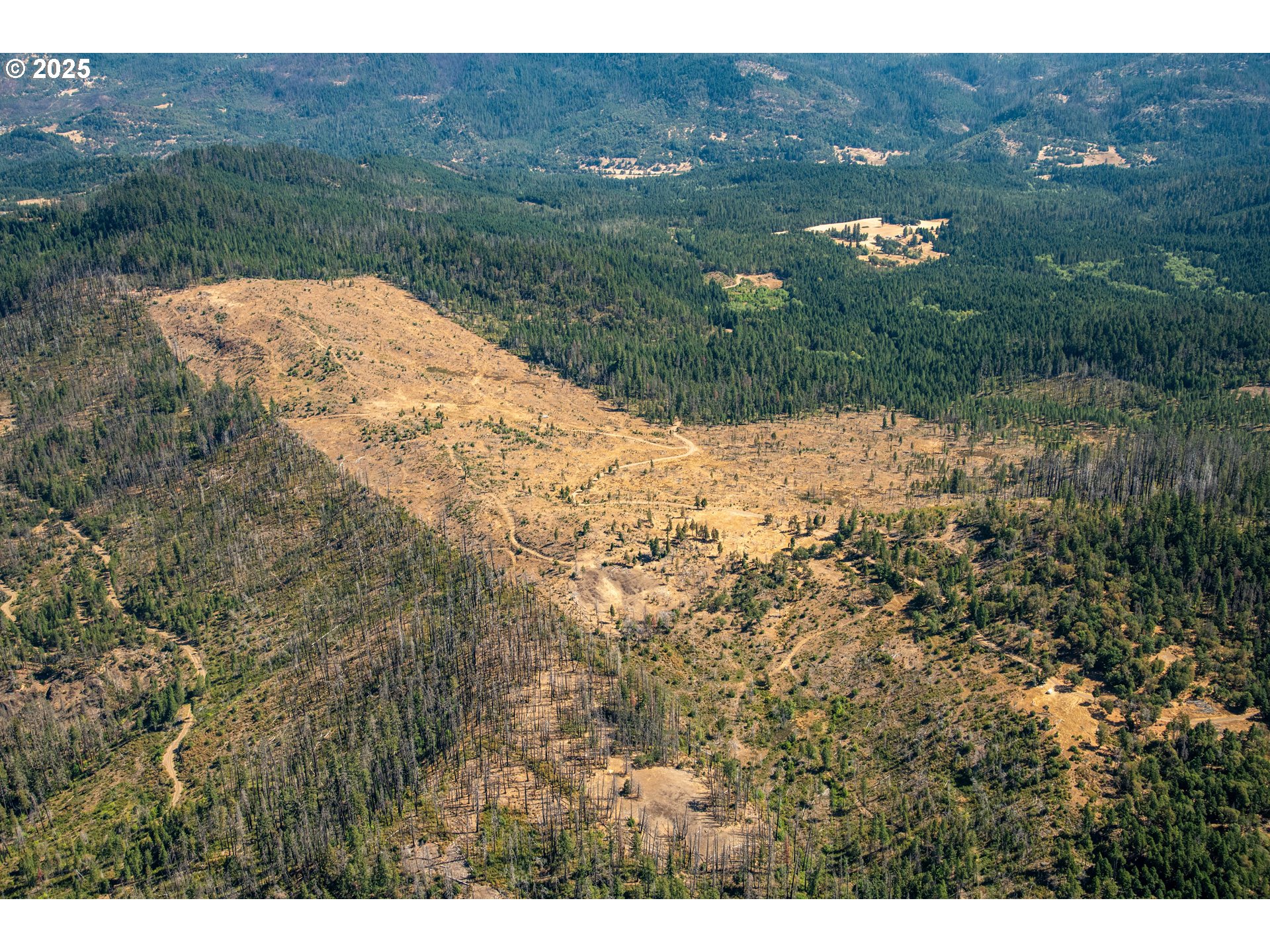 Search Homes for Sale