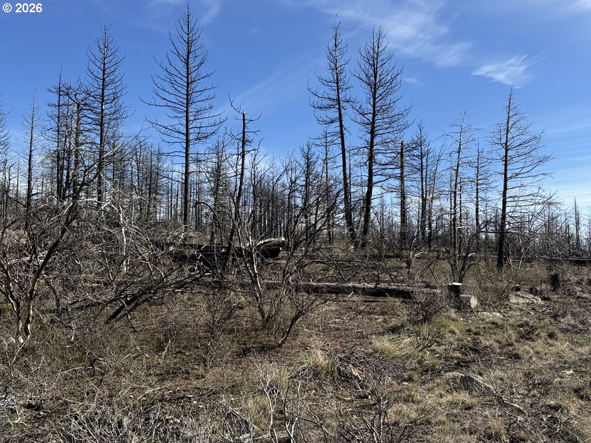 Hummingbird DR 1 UNIT 1, Bonanza, OR, 97623