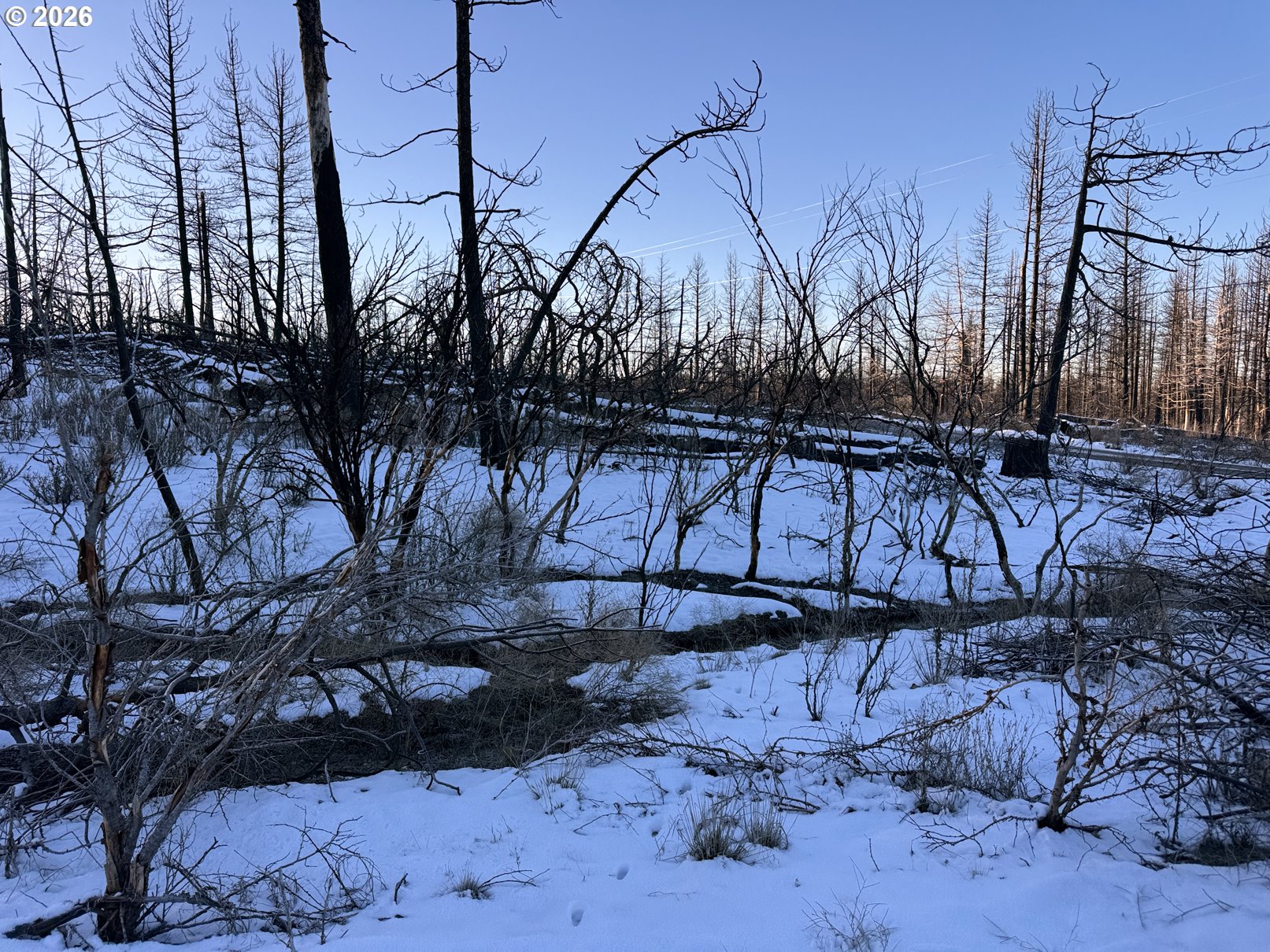 Search Homes for Sale