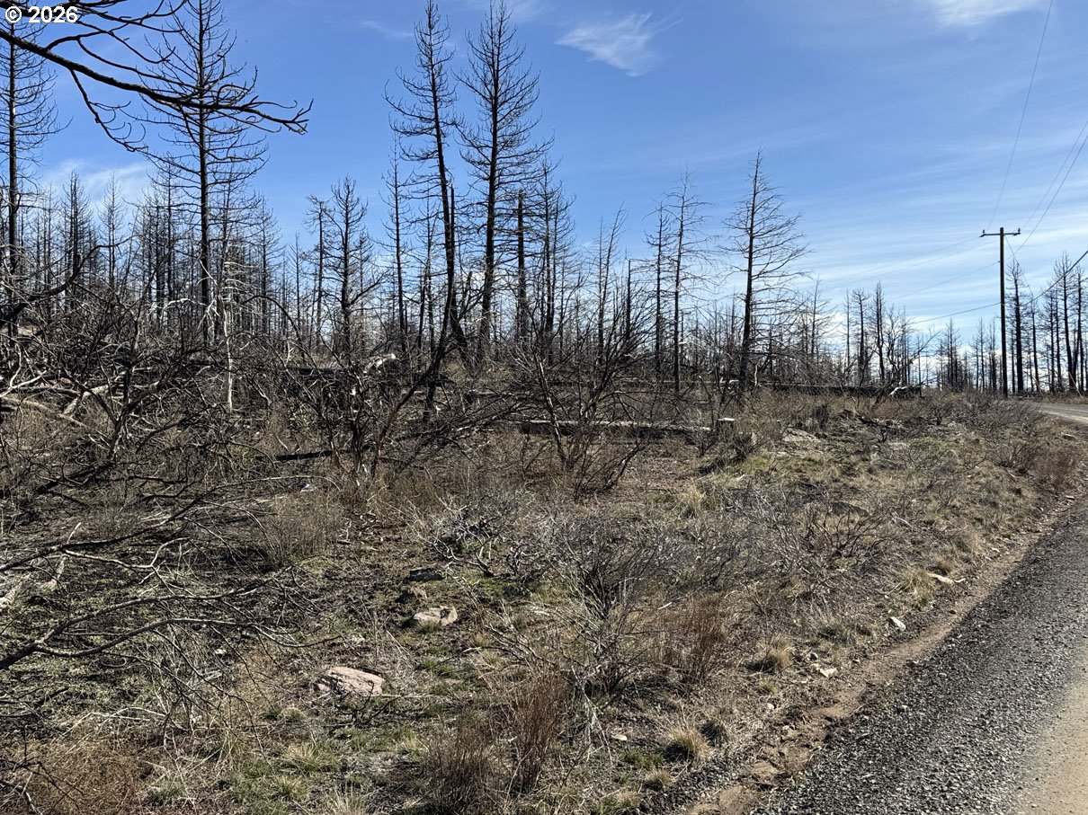 Hummingbird DR 1 UNIT 1, Bonanza, OR, 97623