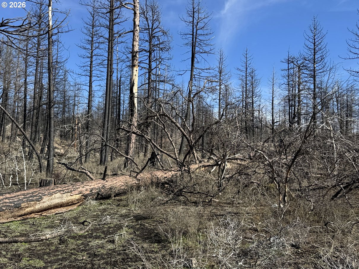 Hummingbird DR 1 UNIT 1, Bonanza, OR, 97623