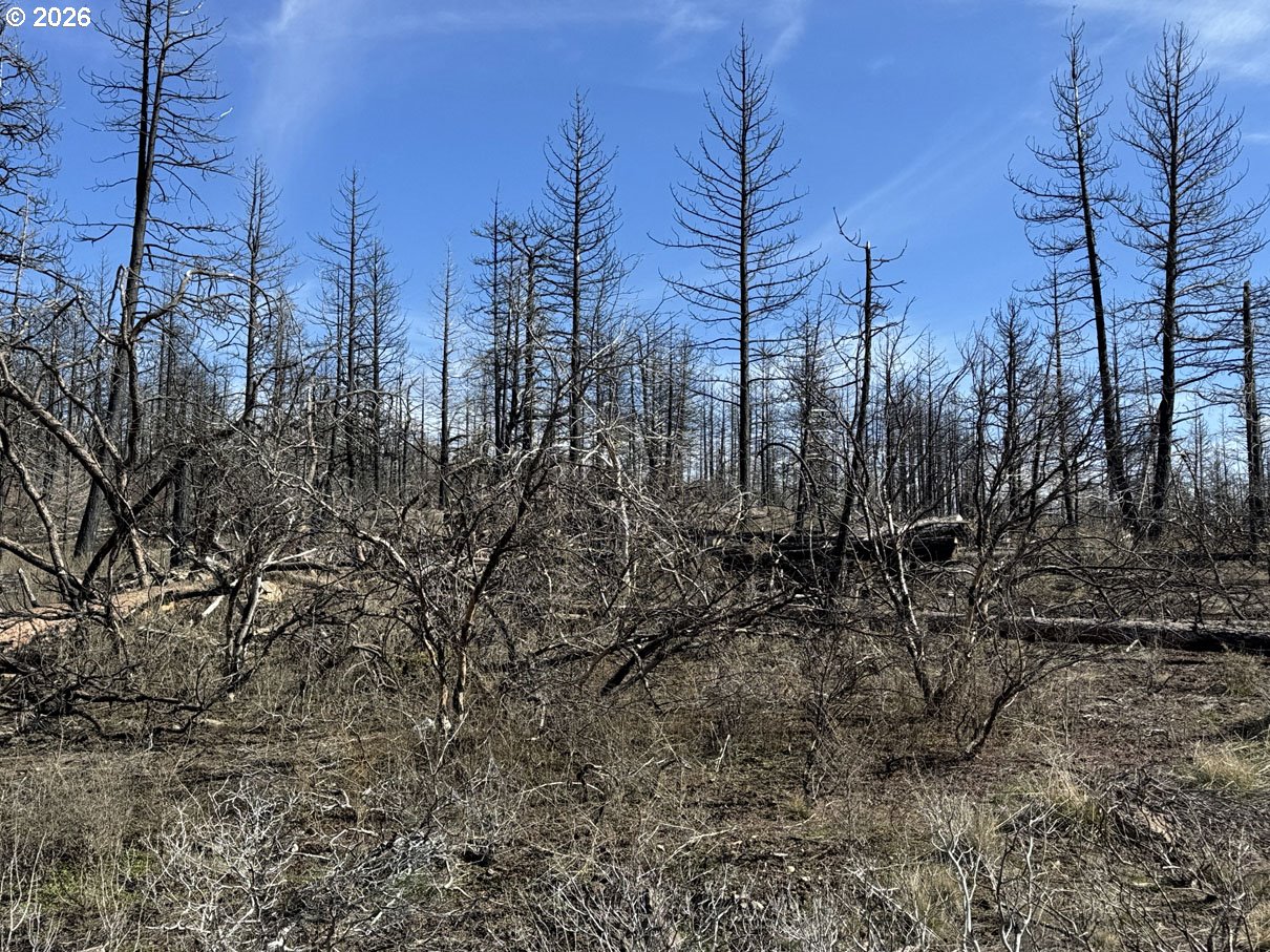 Hummingbird DR 1 UNIT 1, Bonanza, OR, 97623