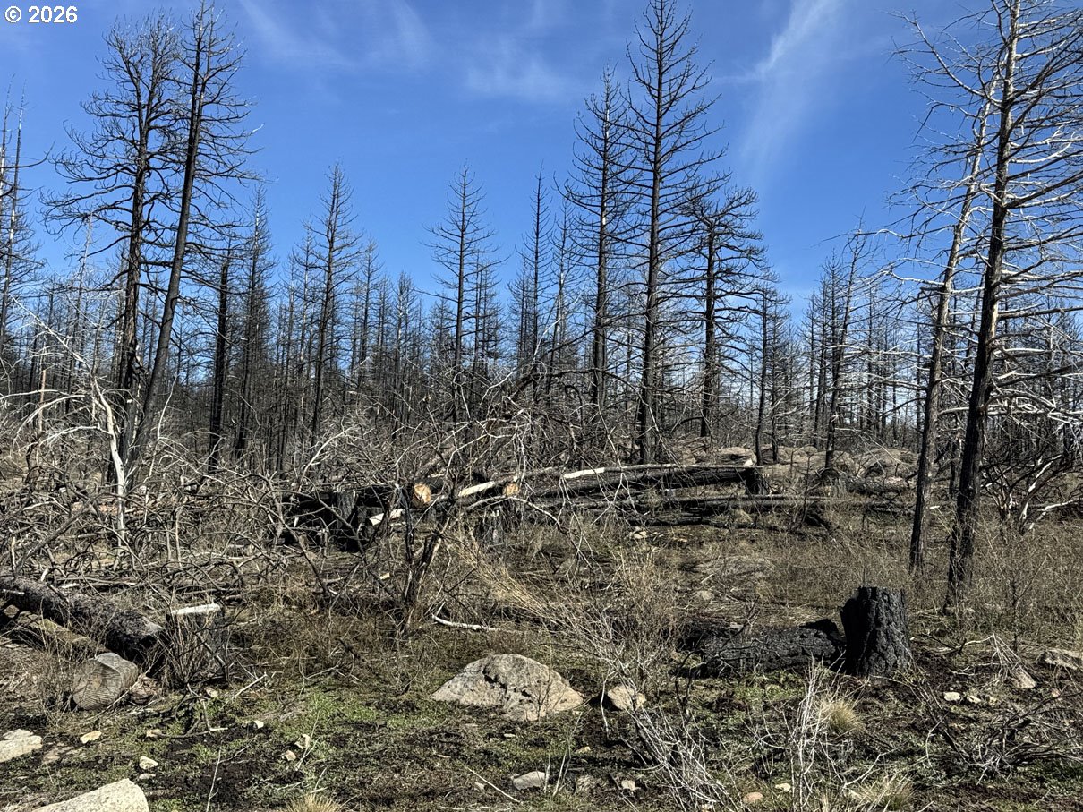 Hummingbird DR 1 UNIT 1, Bonanza, OR, 97623