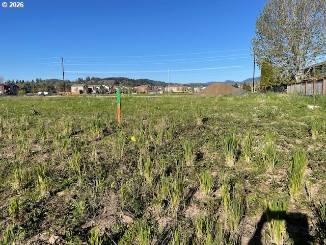 Search Homes for Sale