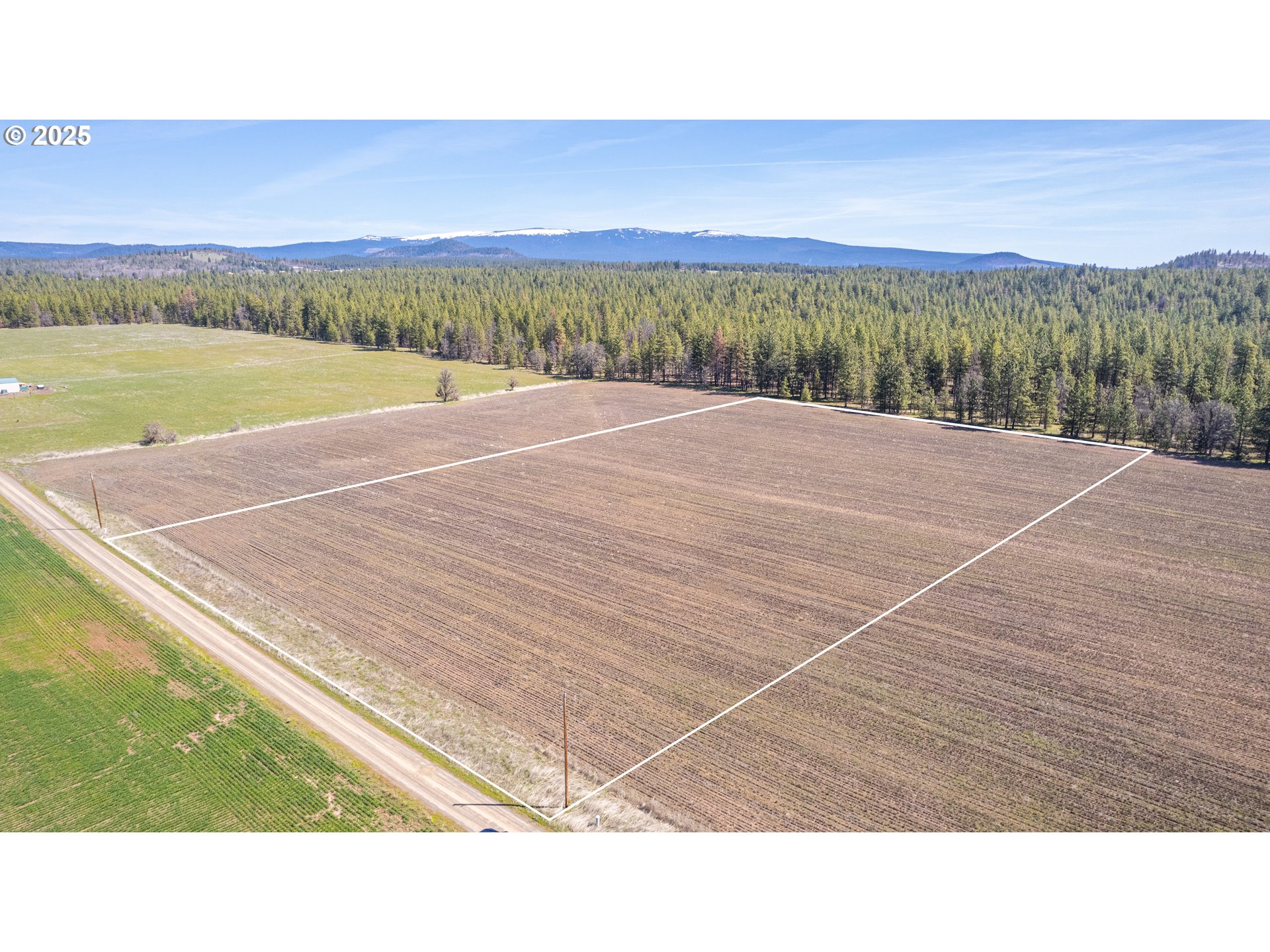 Search Homes for Sale