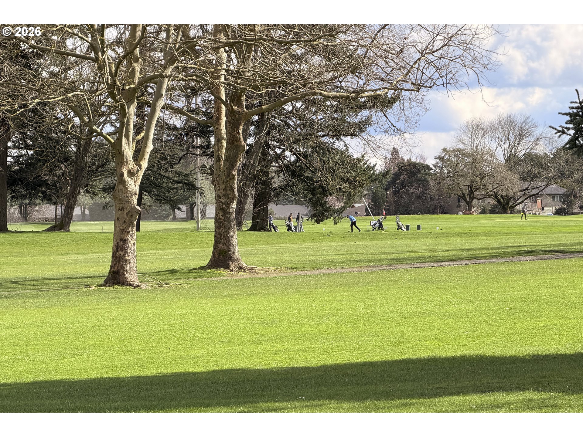 Photo #18: 730206746 Listing: Photo #18