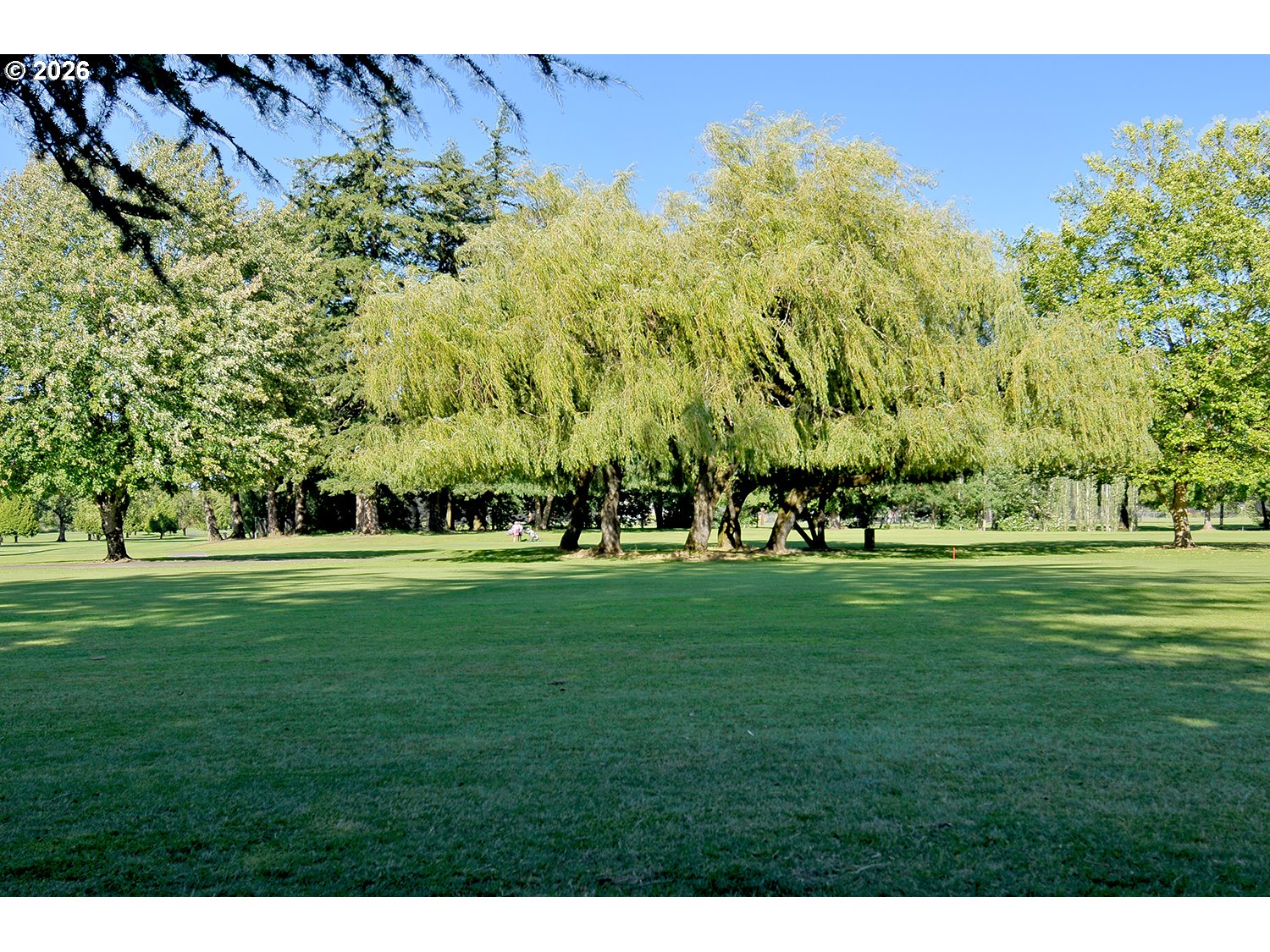 Photo #19: 730206746 Listing: Photo #19