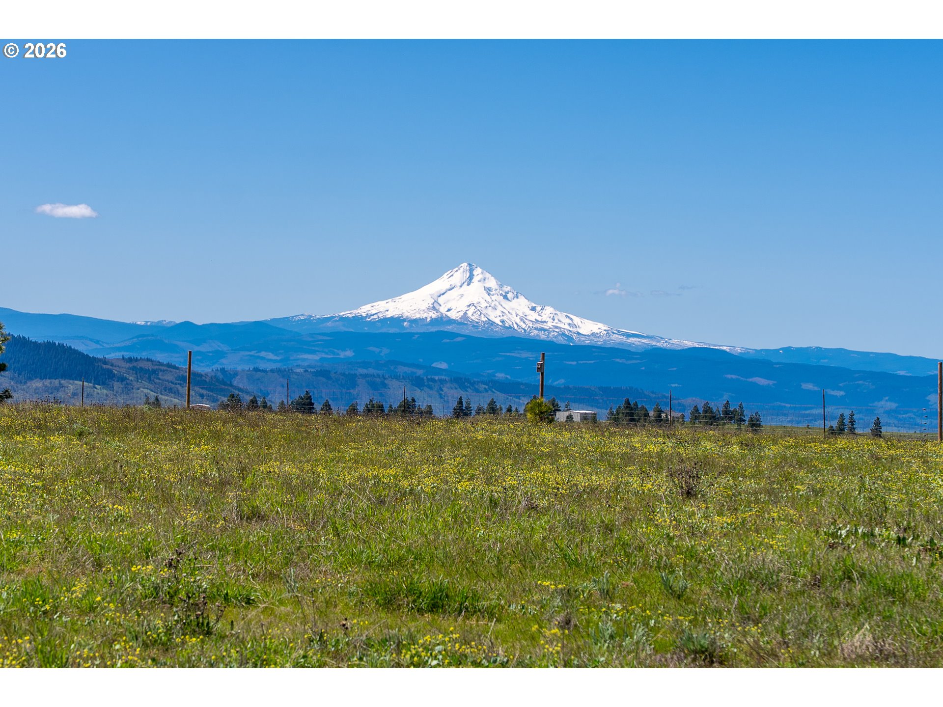 Open Houses