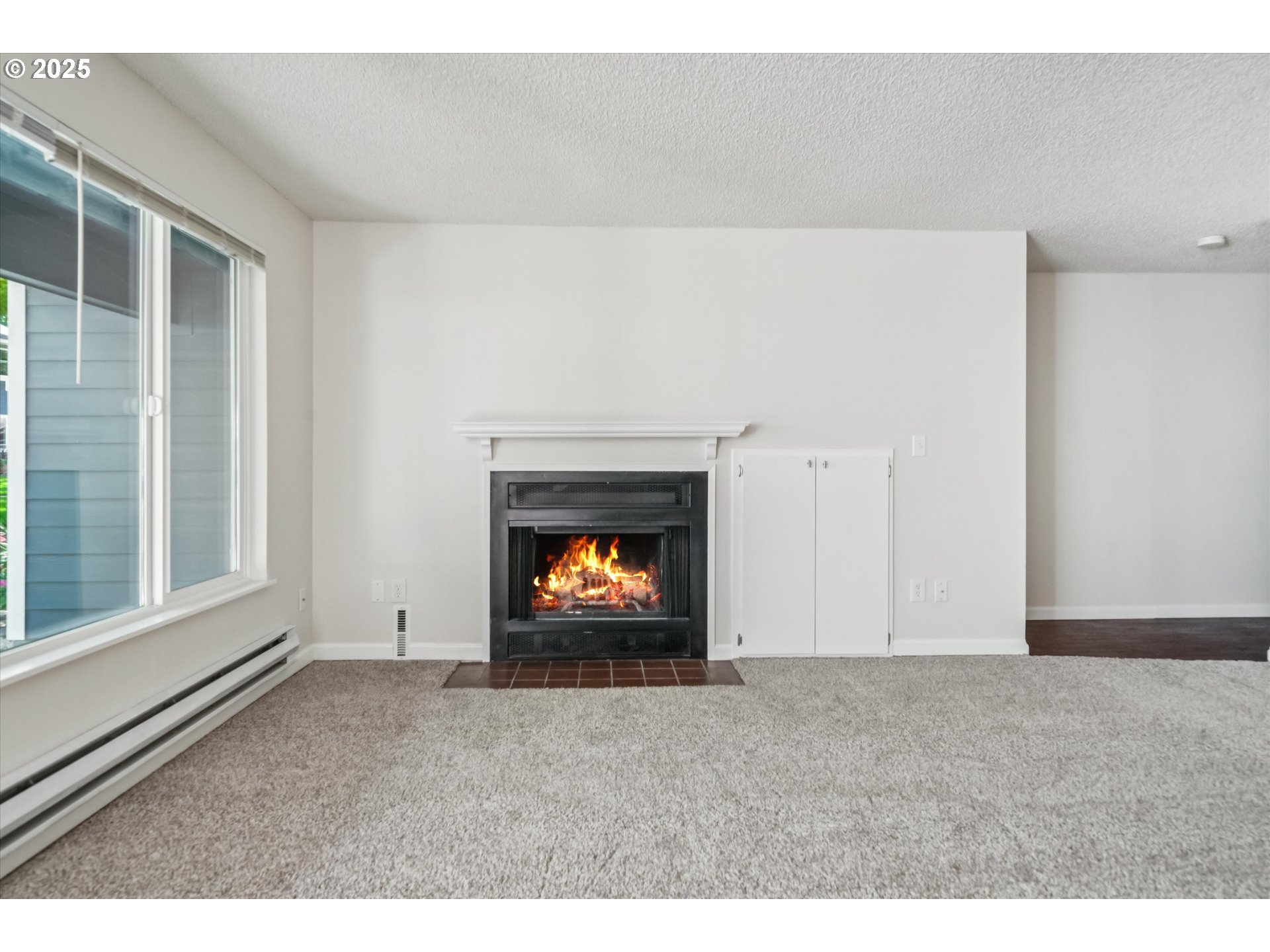 Photo #6: 732462576 Listing 
