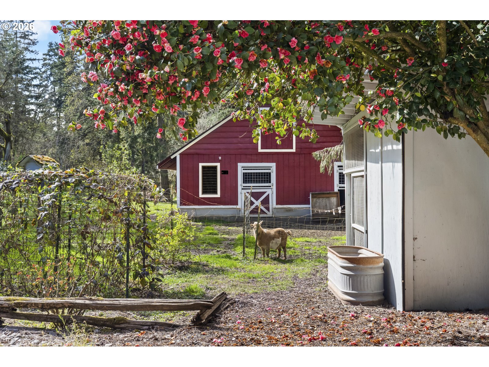 22305 NE ILAFERN LN, Dundee, OR, 97115