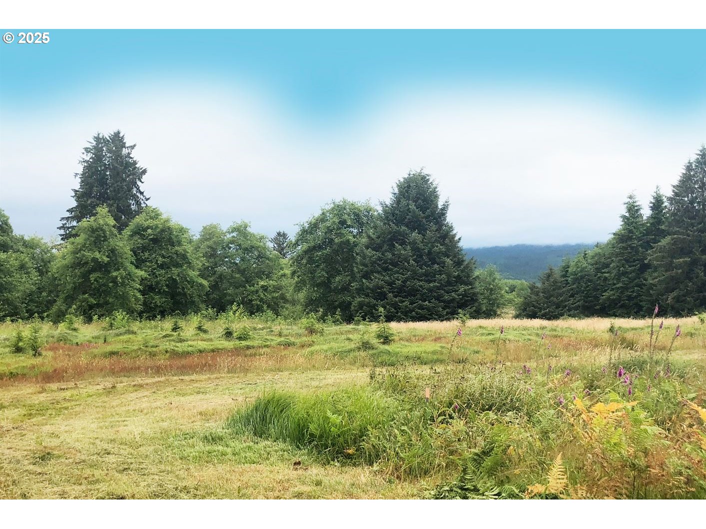 South Valley LN UNIT 5, Naselle, WA, 98638