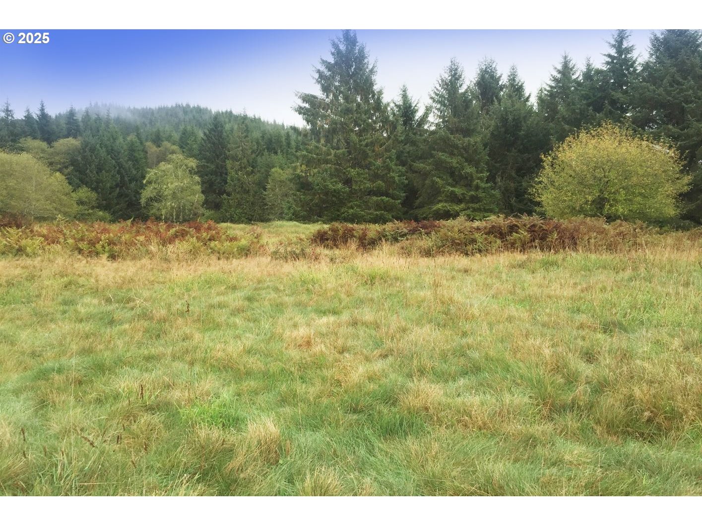 South Valley LN UNIT 5, Naselle, WA, 98638