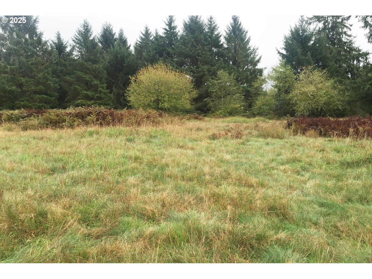 South Valley LN UNIT 5, Naselle, WA, 98638