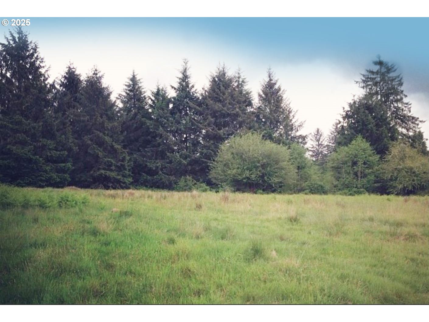 South Valley LN UNIT 5, Naselle, WA, 98638